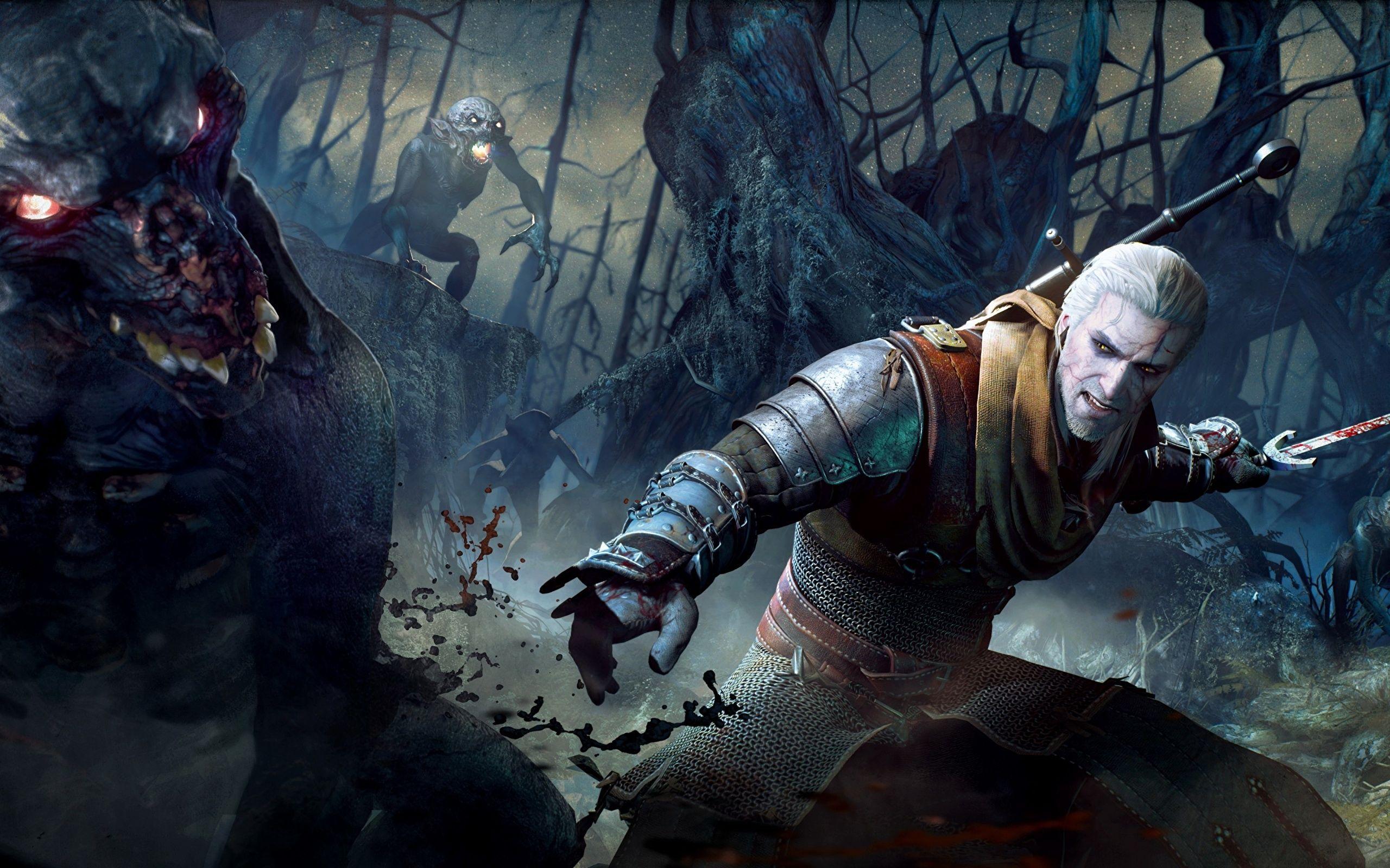 2560x1600 Wallpaper The Witcher 3: Wild Hunt Geralt of Rivia Men 2560x1600