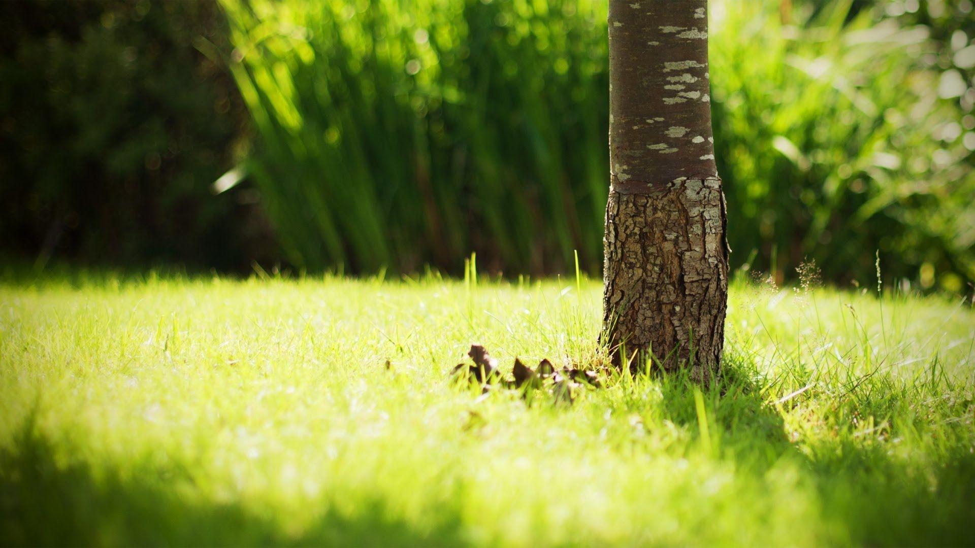 1920x1080 Relaxation Wallpaper