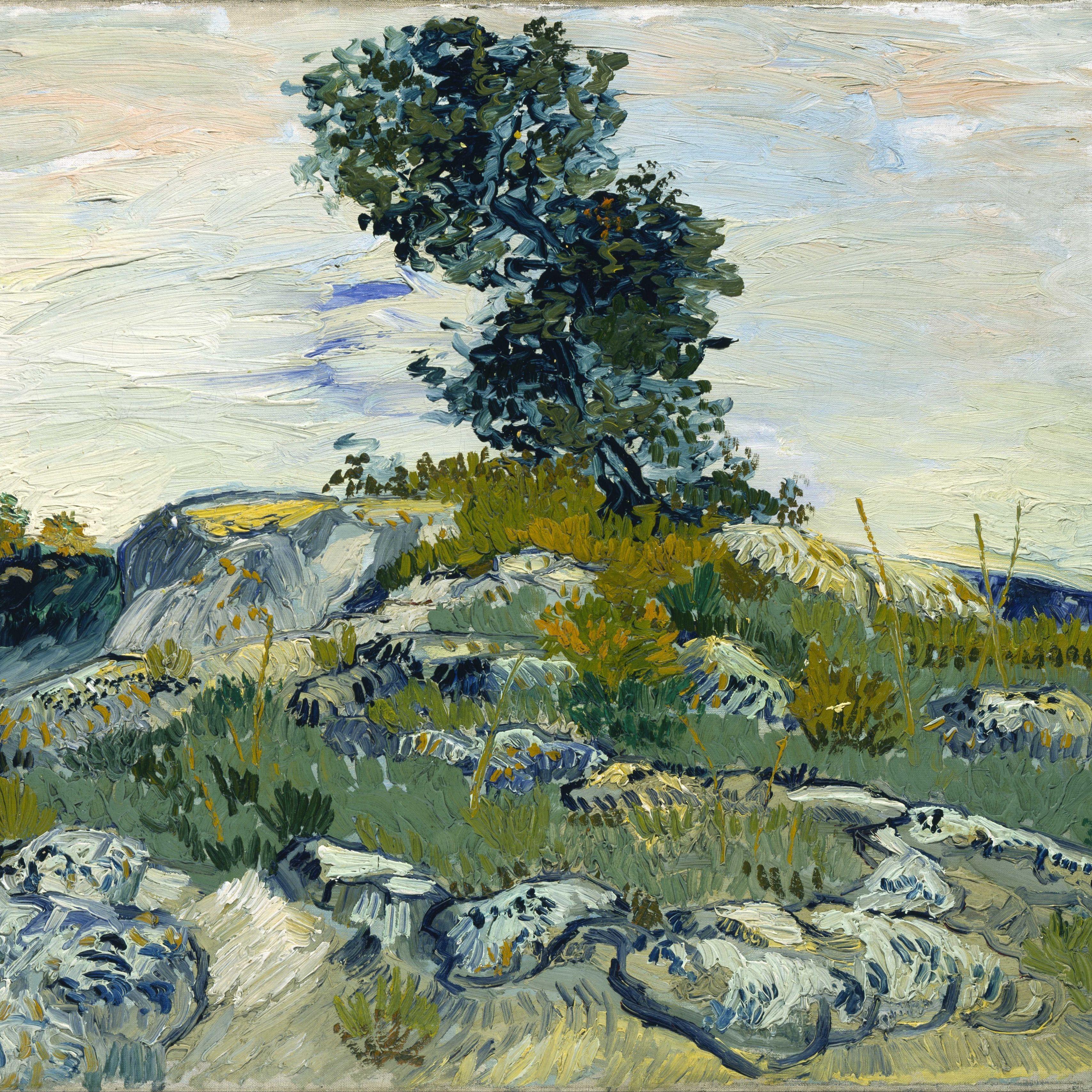 3415x3415 Download wallpaper 3415x3415 vincent van gogh, rocks with oak tree