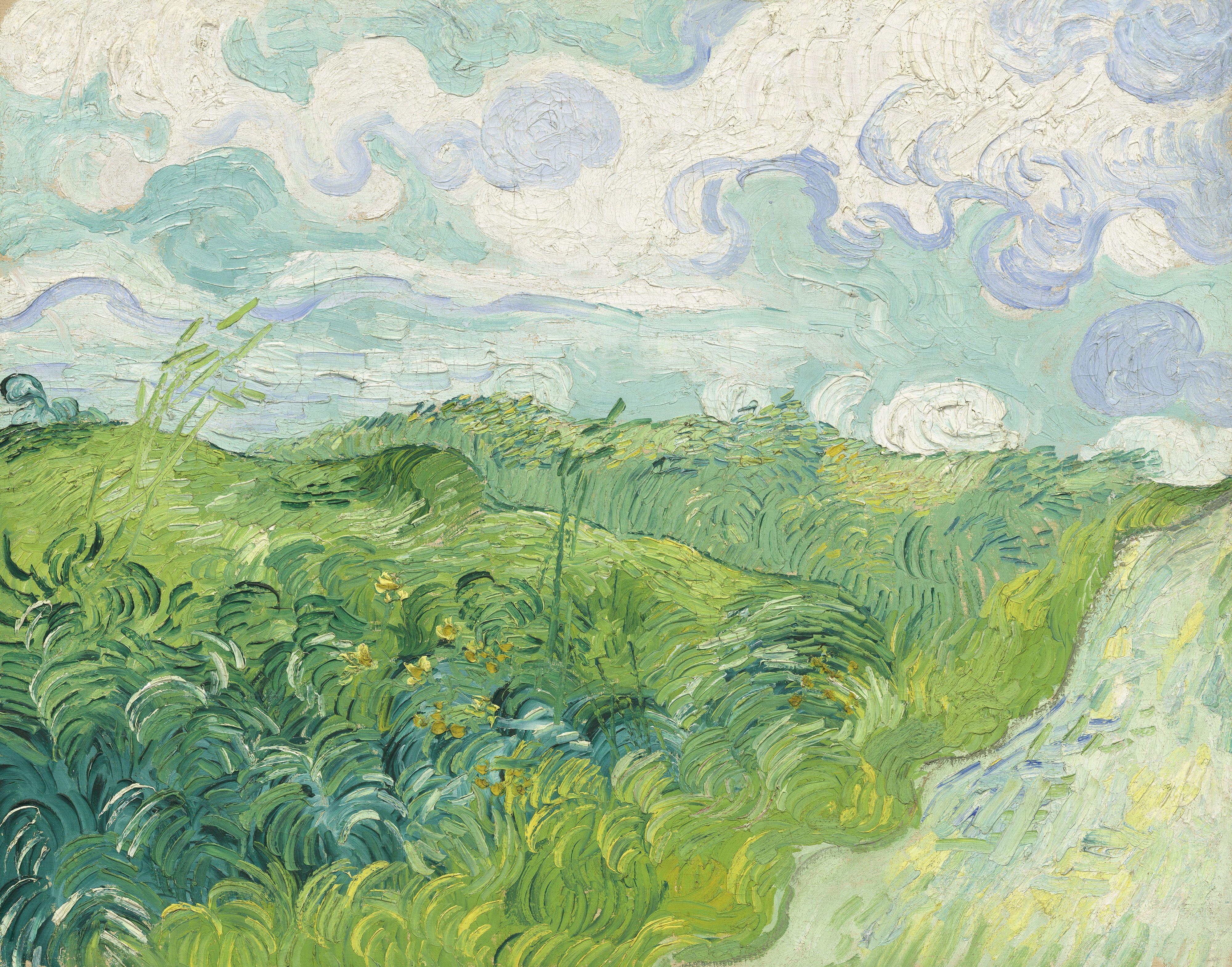 4000x3139 Grassfield and clouds painting, Vincent van Gogh, oil painting