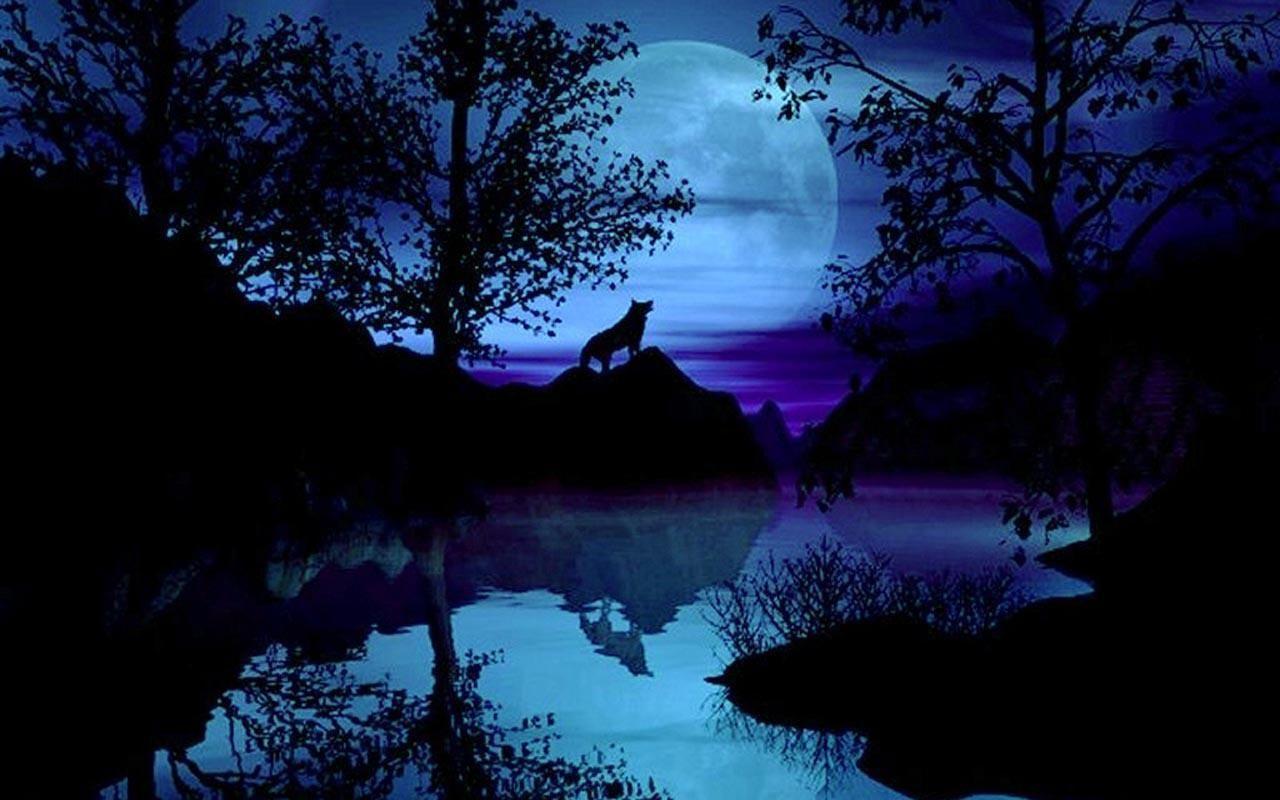 1280x800 free moving wolf wallpaperD Wolf Wallpaper