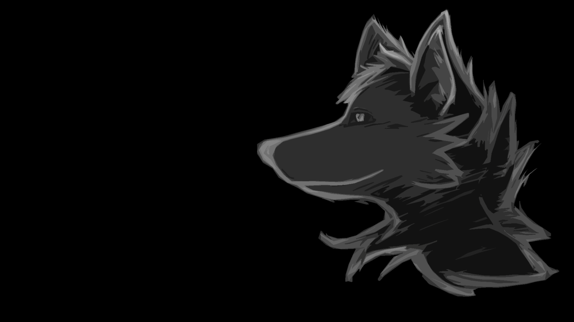 1920x1080 Black Wolf Wallpaper HD
