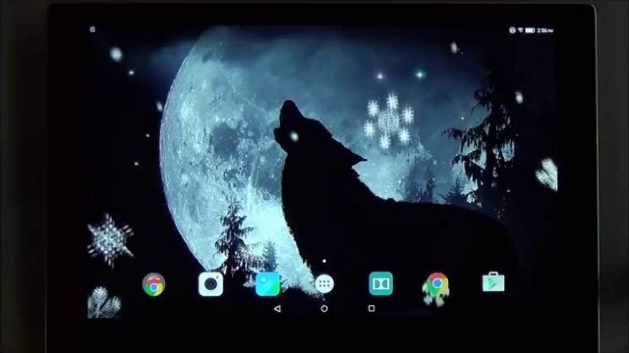 Hình nền sống chó sói 1280x720 dành cho điện thoại và máy tính bảng Android