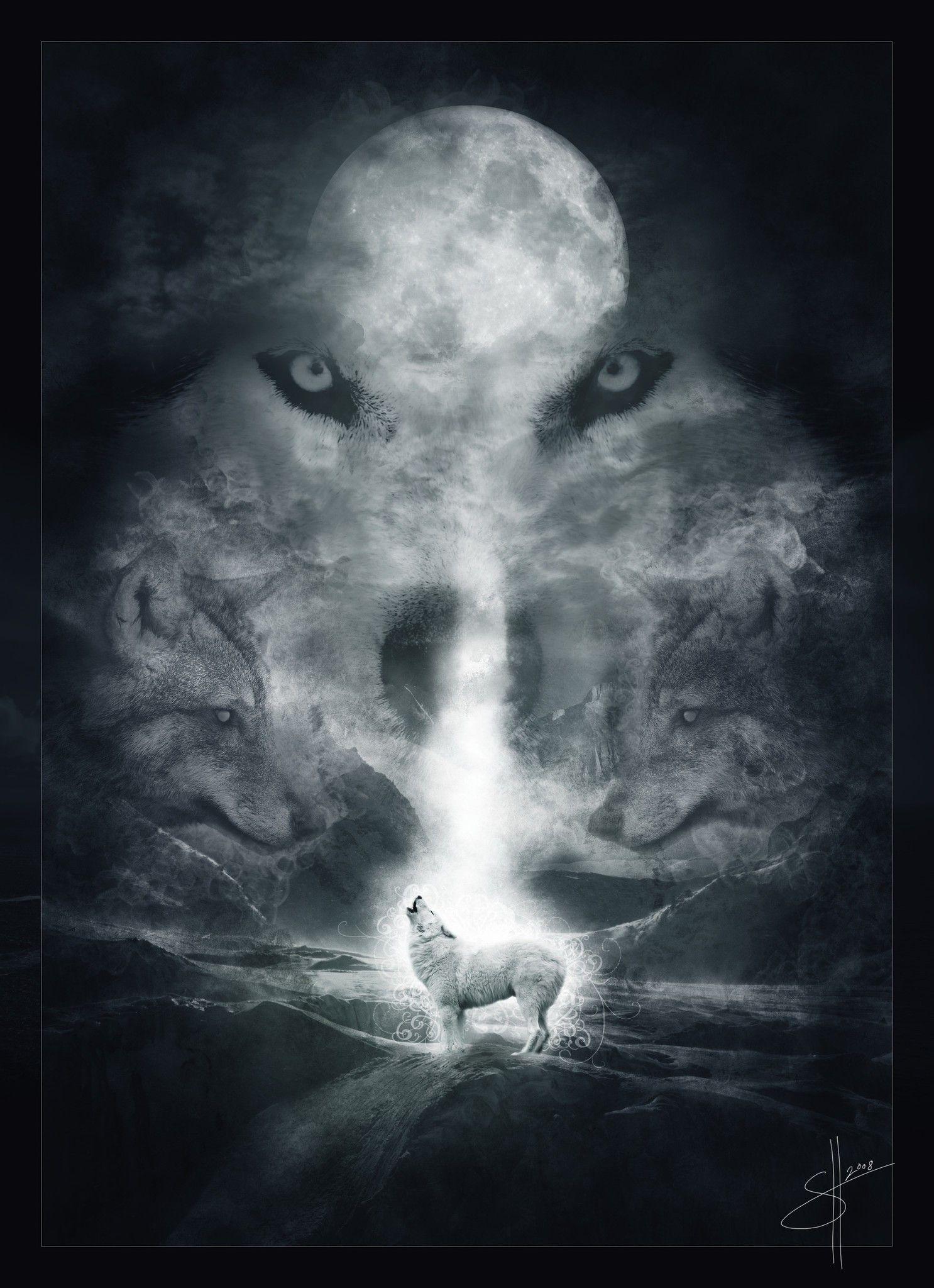 Android Wolf Wallpapers - Top Free Android Wolf Backgrounds