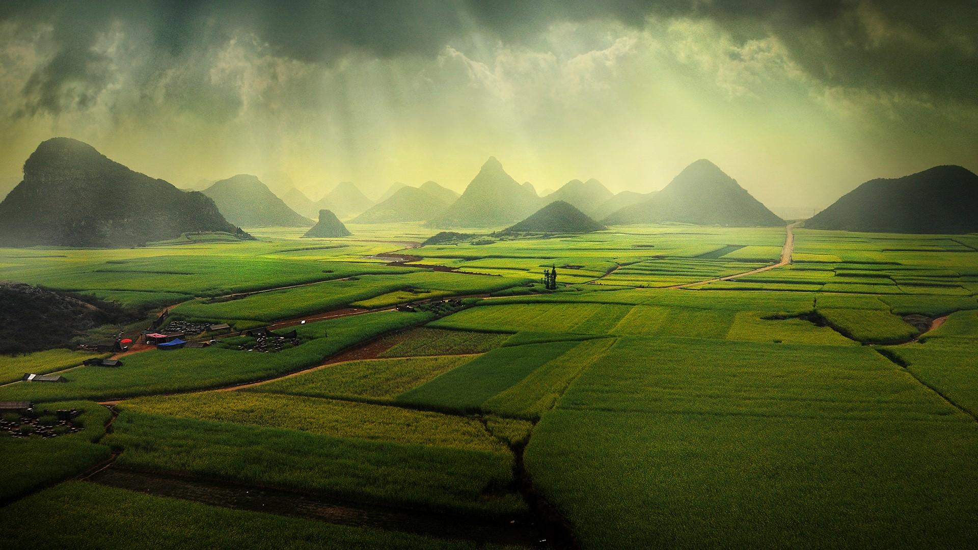 1920x1080 The canola fields, Luoping, Yunnan, China. Windows 10 Spotlight Image