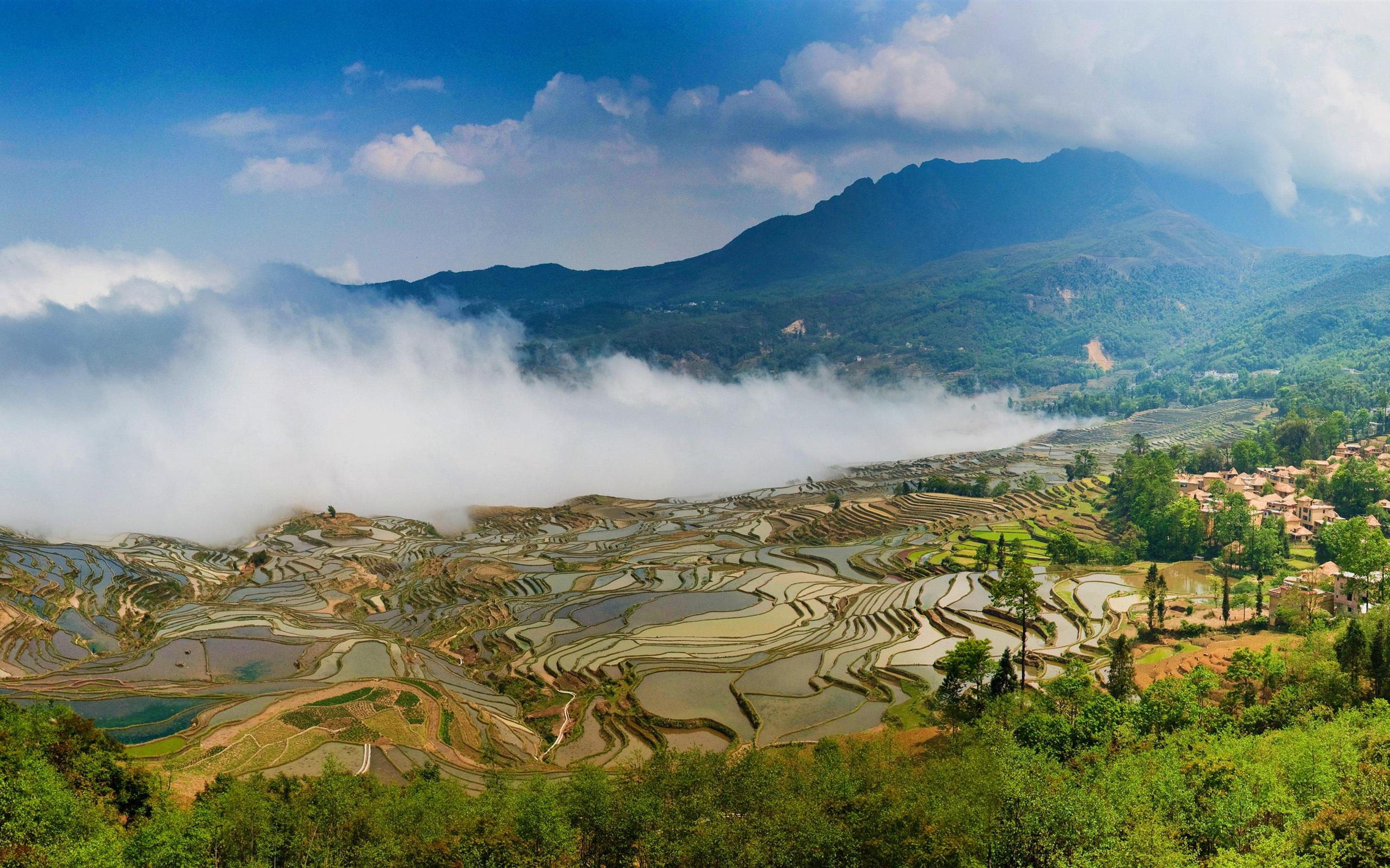 2560x1600 Wallpaper Yuanyang terraces, China Yunnan, beautiful view, fog, mountains 3840x2160 UHD 4K Picture, Image