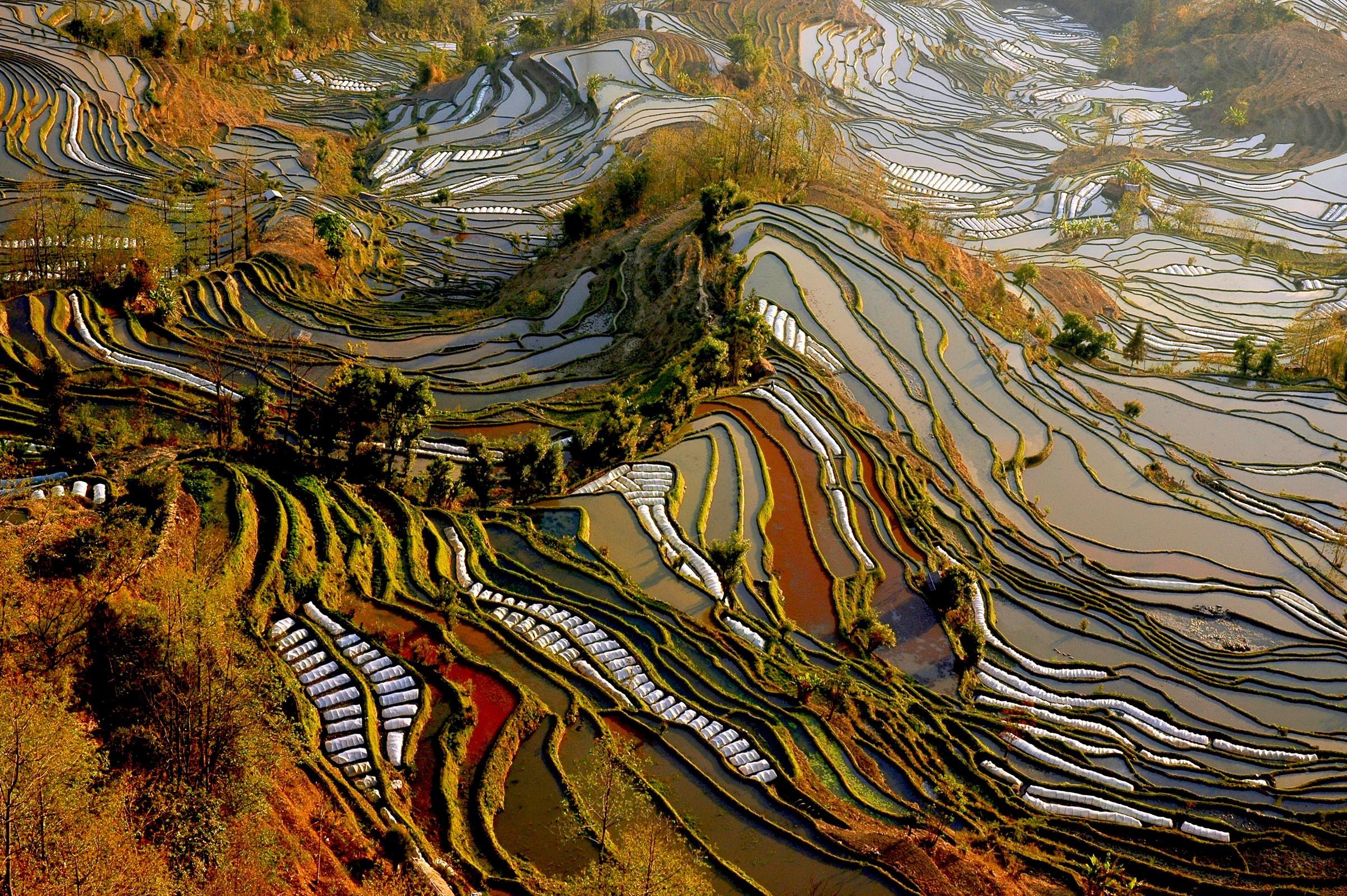 2406x1600 Yunnan, Fields, China Gallery HD Wallpaper