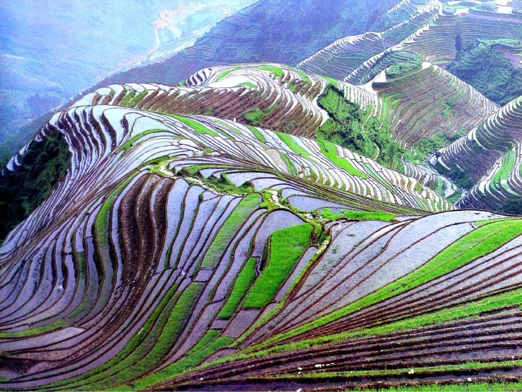 1024x768 Free download The terrace rice fields in Yunnan Province are made by hand by the [1024x768] for your Desktop, Mobile & Tablet. Explore The Best Wallpaper Place