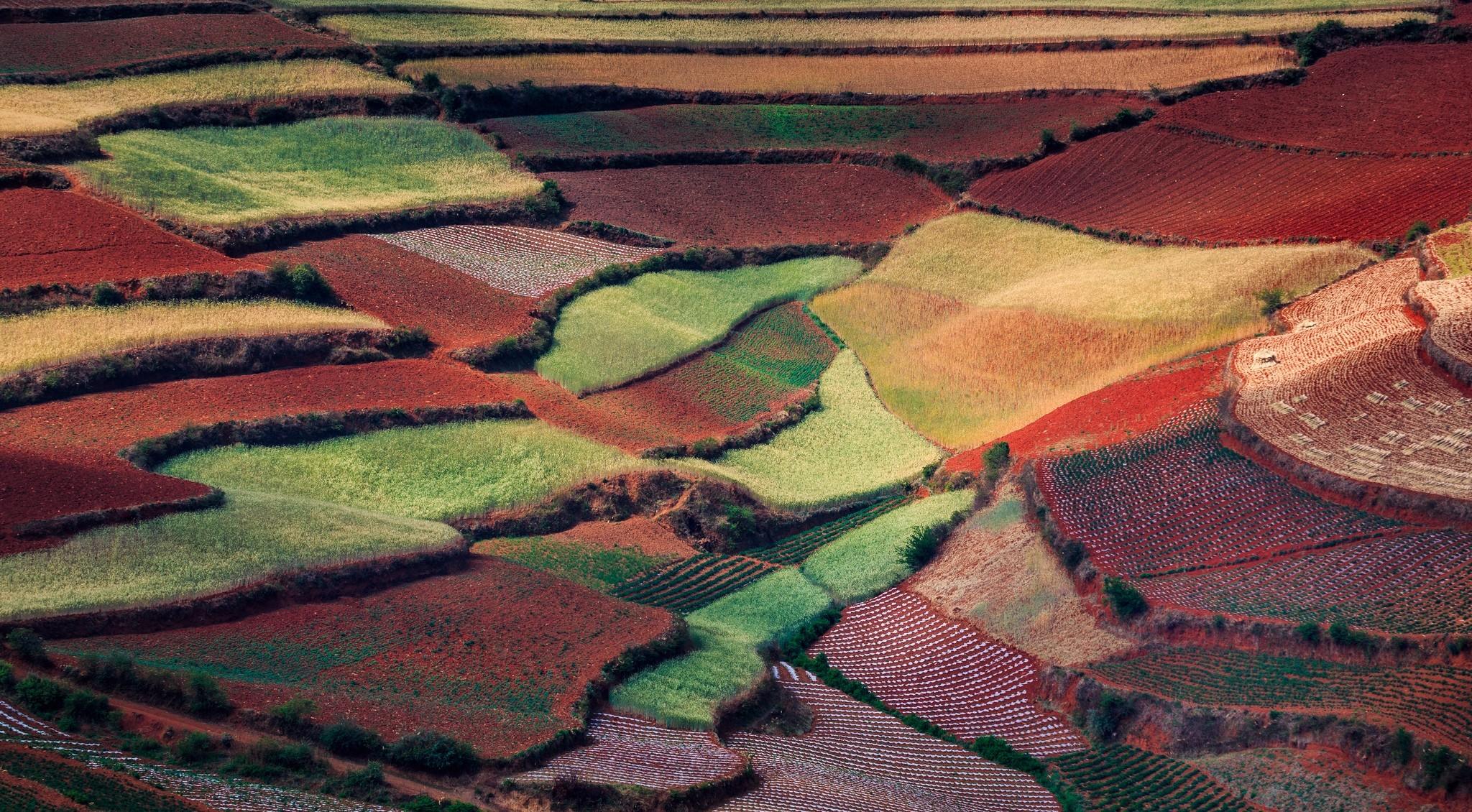 2048x1130 Yunnan HD Wallpaper and Background