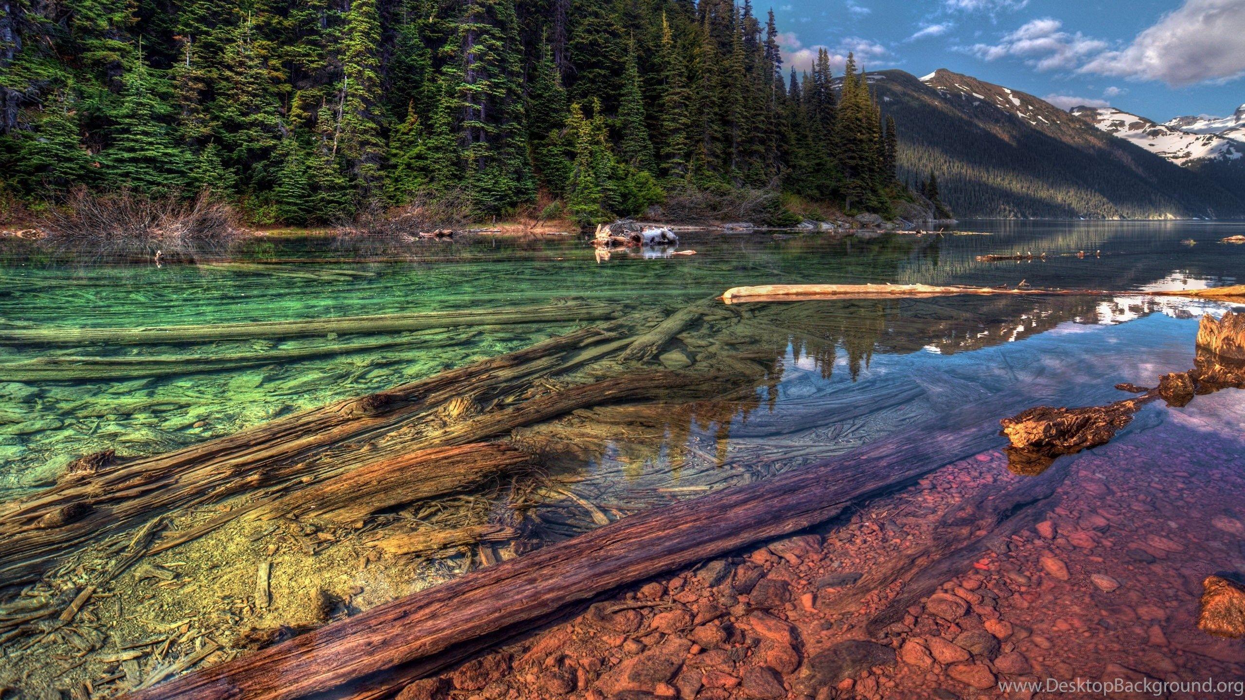 Unusual Desktop Wallpapers - Top Free Unusual Desktop Backgrounds