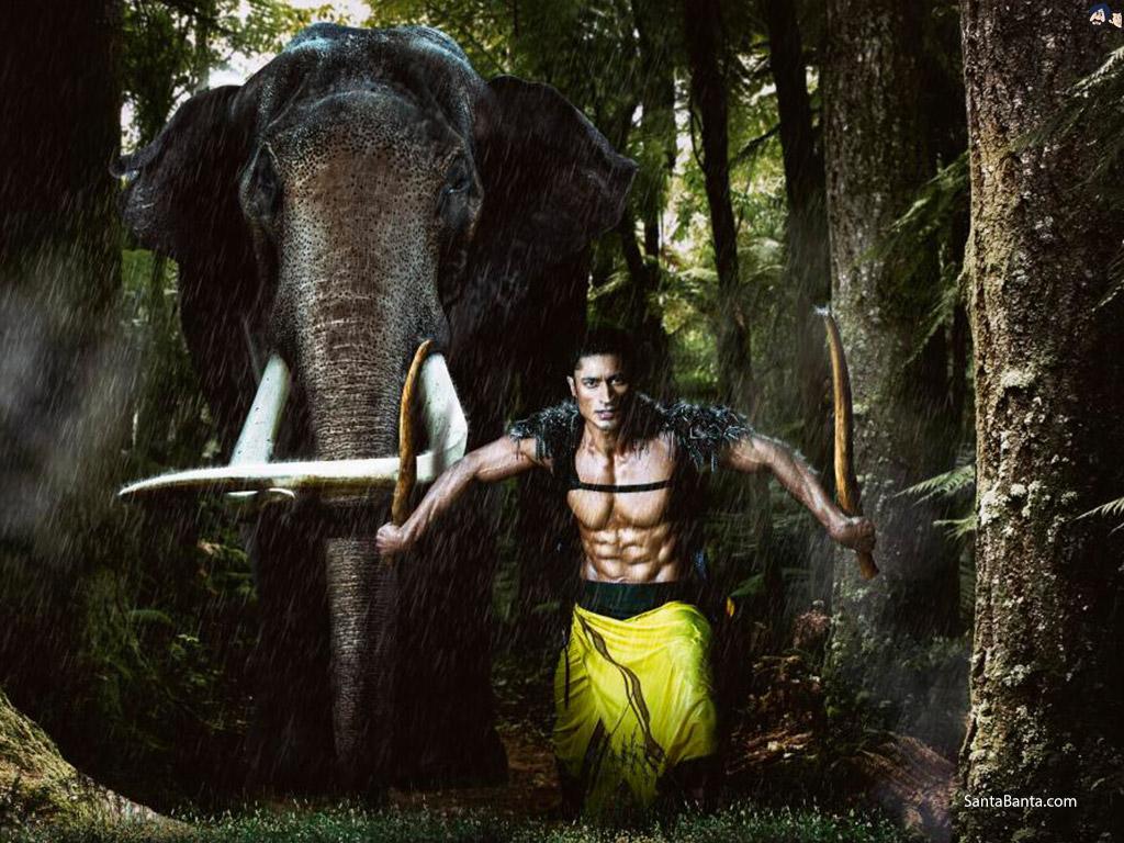 1024x768 Junglee Wallpaper
