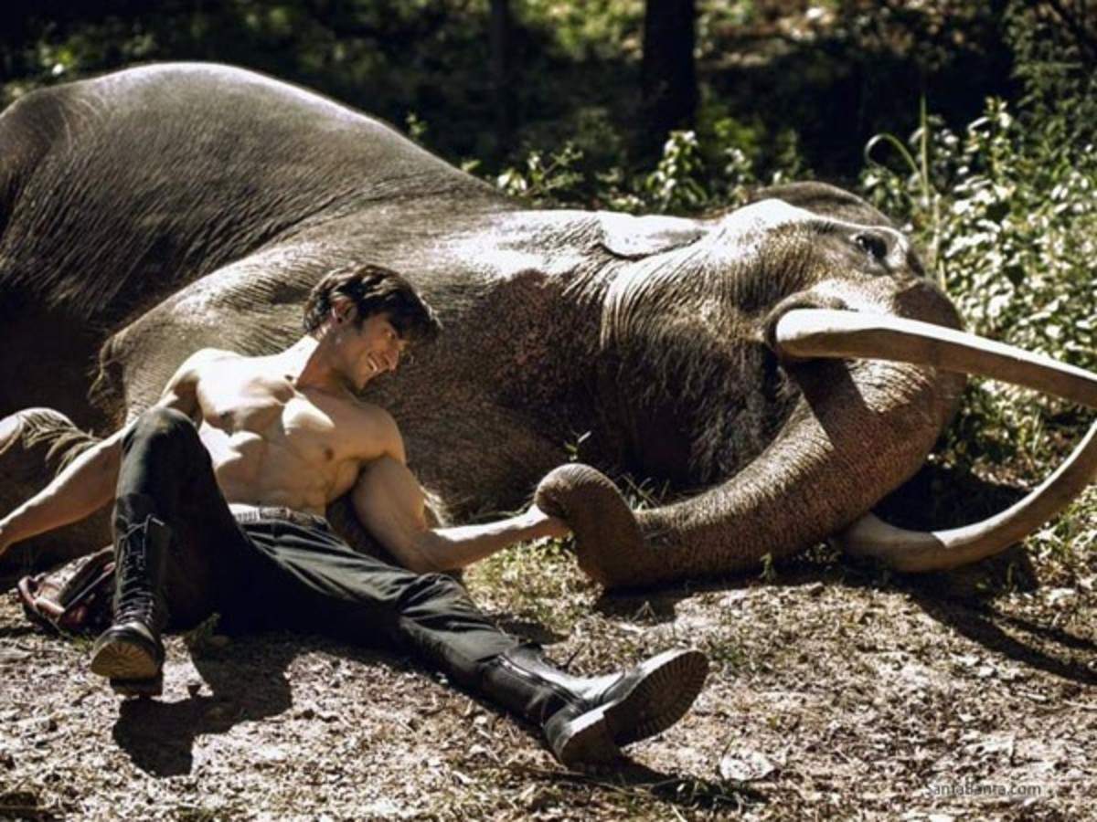 1200x900 Here's How Much Junglee Is Doing At The Box Office On Weekdays