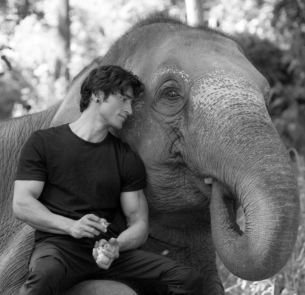 1000x968 Junglee (2019)