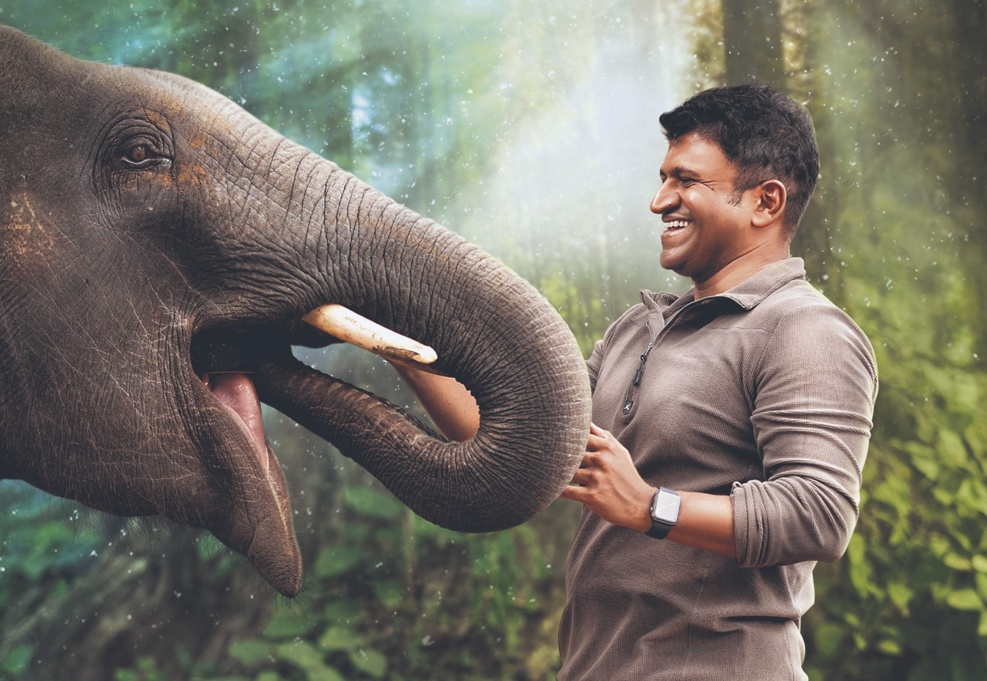 Junglee Wallpapers Top Free Junglee Backgrounds WallpaperAccess Junglee Wallpapers Top Free Junglee Backgrounds WallpaperAccess