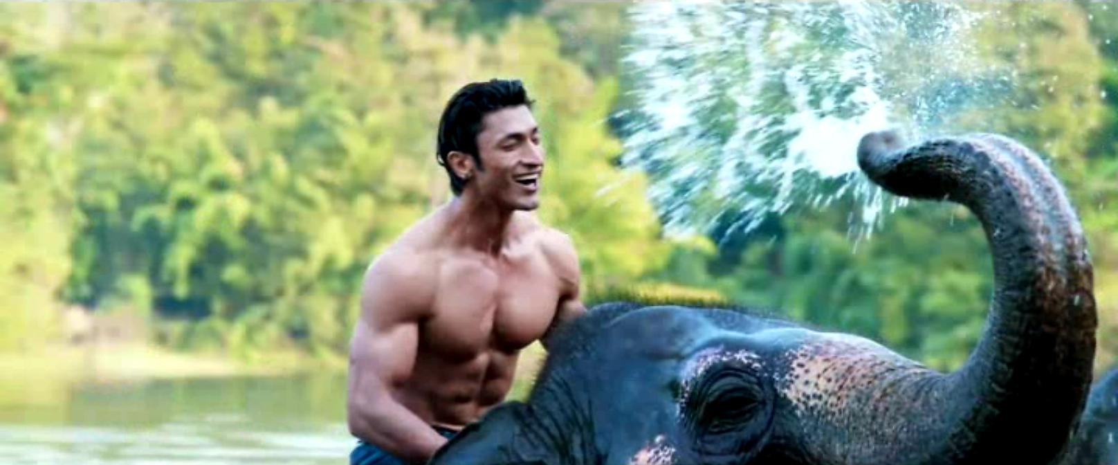 1616x672 Junglee (2019)