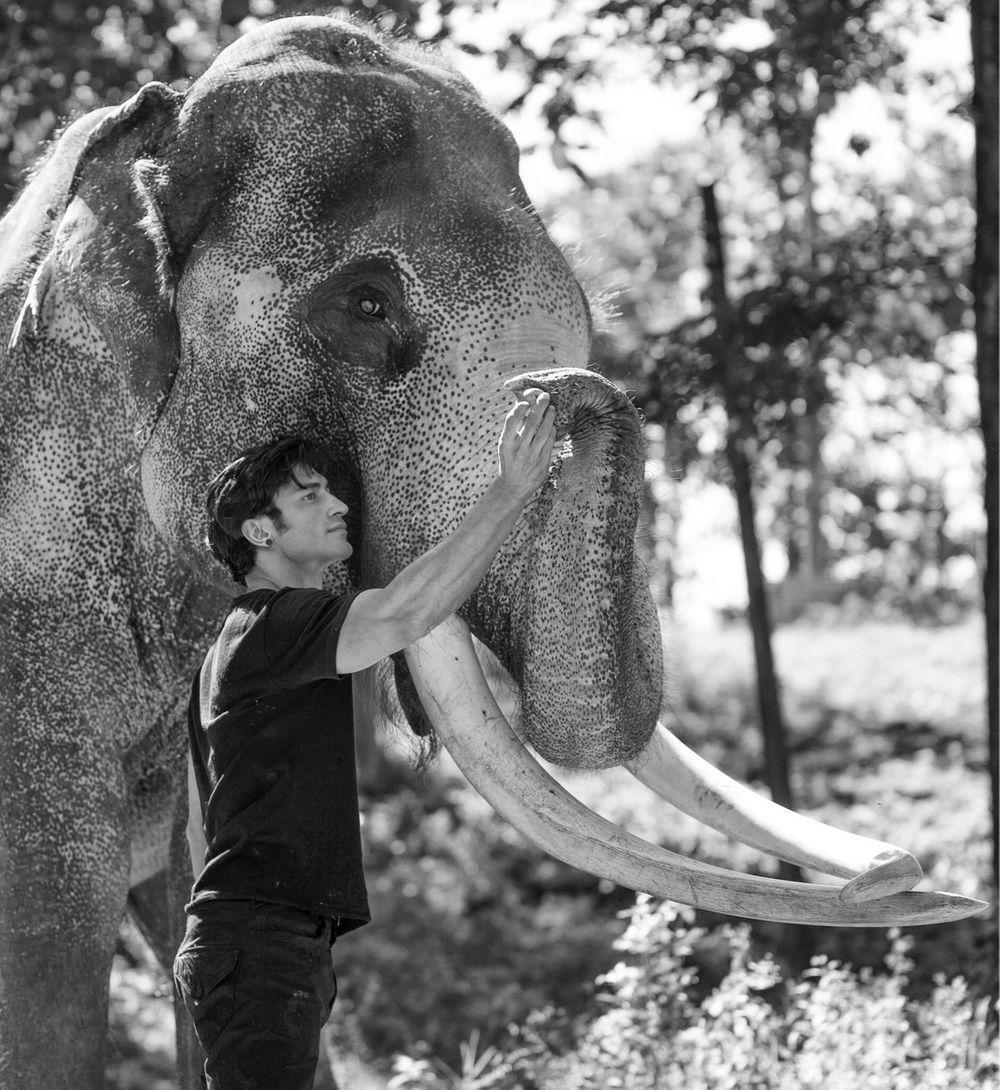 1000x1090 Junglee on