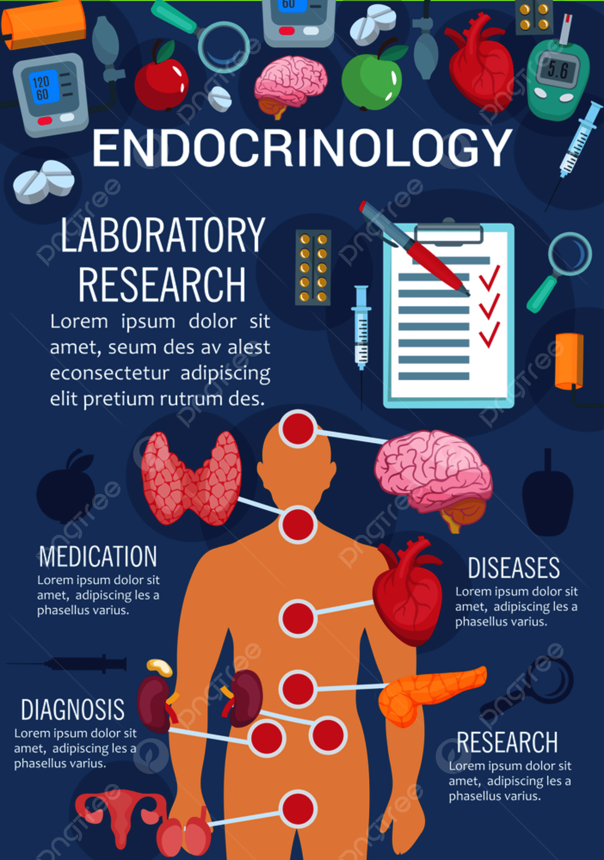 1200x1709 Endocrinology Medicine Poster Of Human