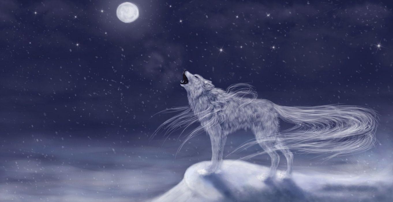 1362x700 Magical animals Wolves Moon Fantasy wolf dream mood