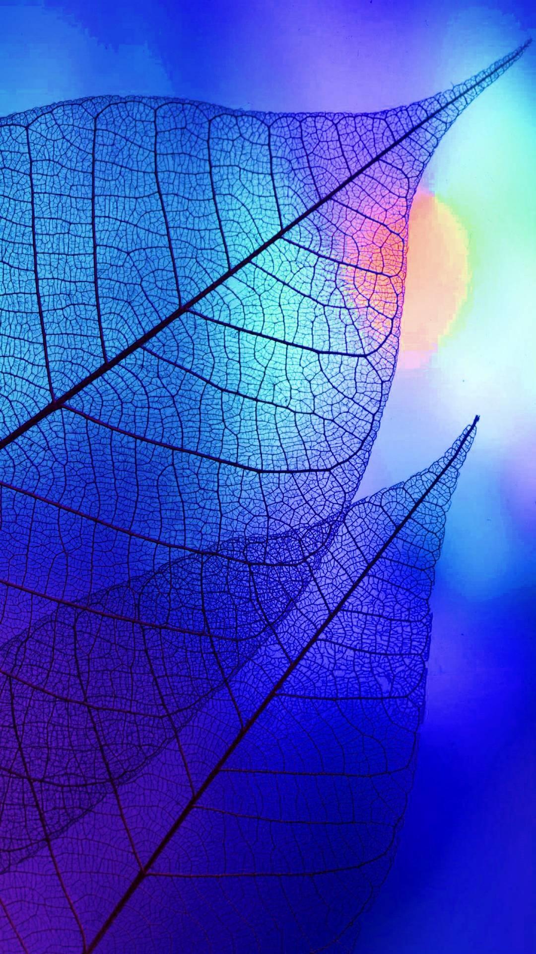 1080x1920 iPhone 12 Wallpaper