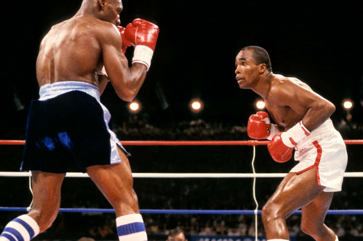 1200x798 Ray Leonard Wallpaper