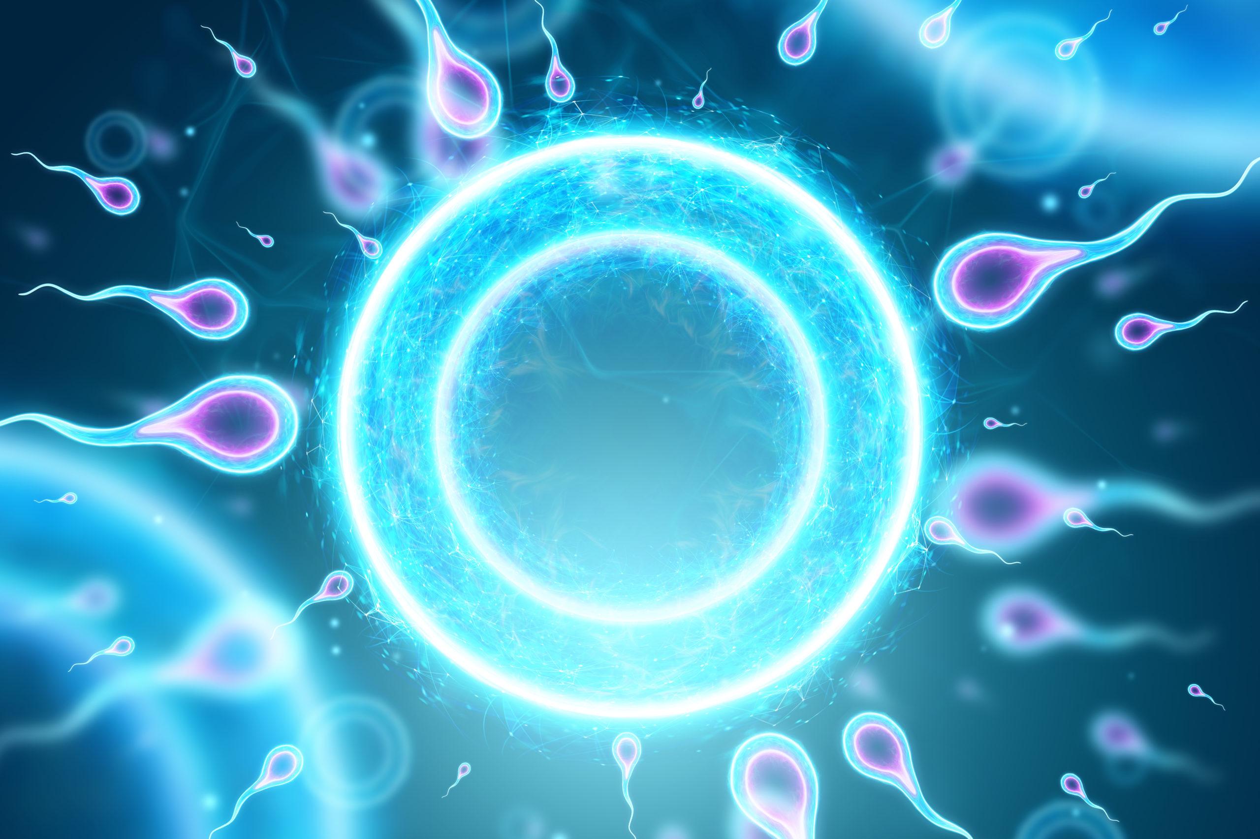 Embryo Wallpapers - Top Free Embryo Backgrounds - WallpaperAccess