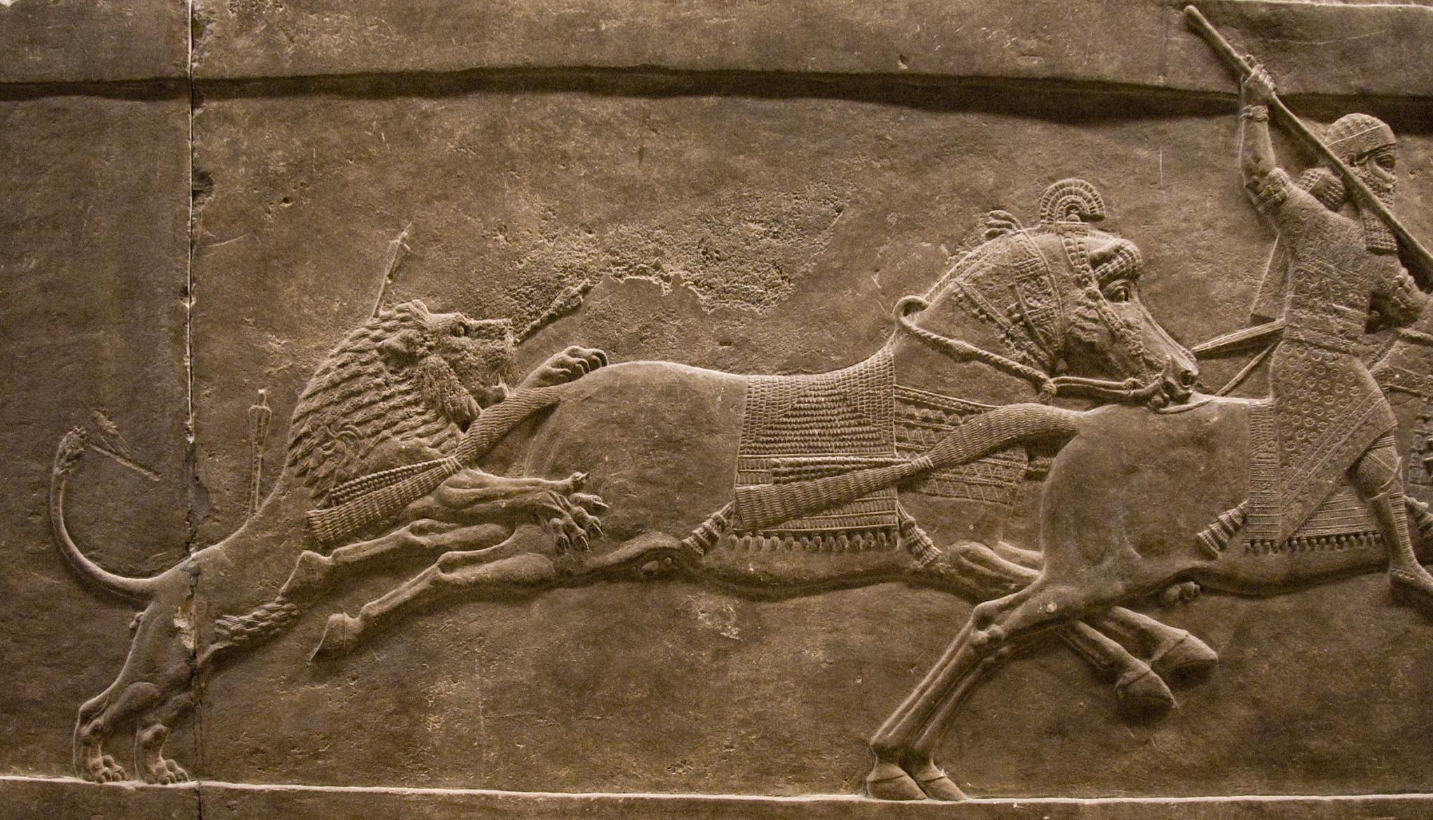 2048x1172 assyria lion hunts HD wallpaper, background