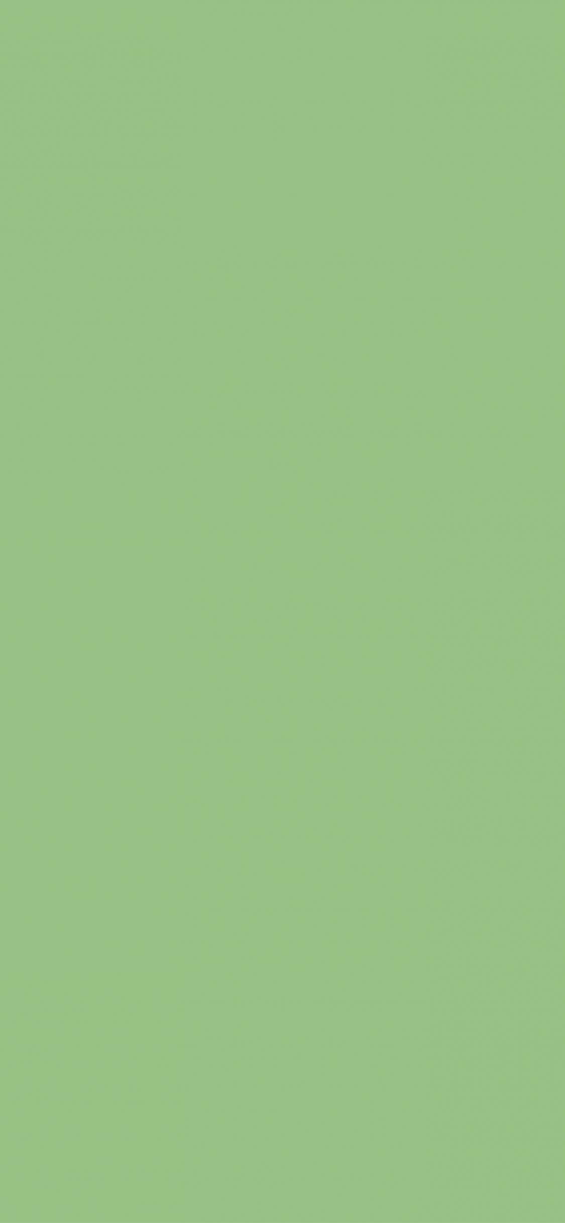 Matcha Green Wallpapers - Top Free Matcha Green Backgrounds