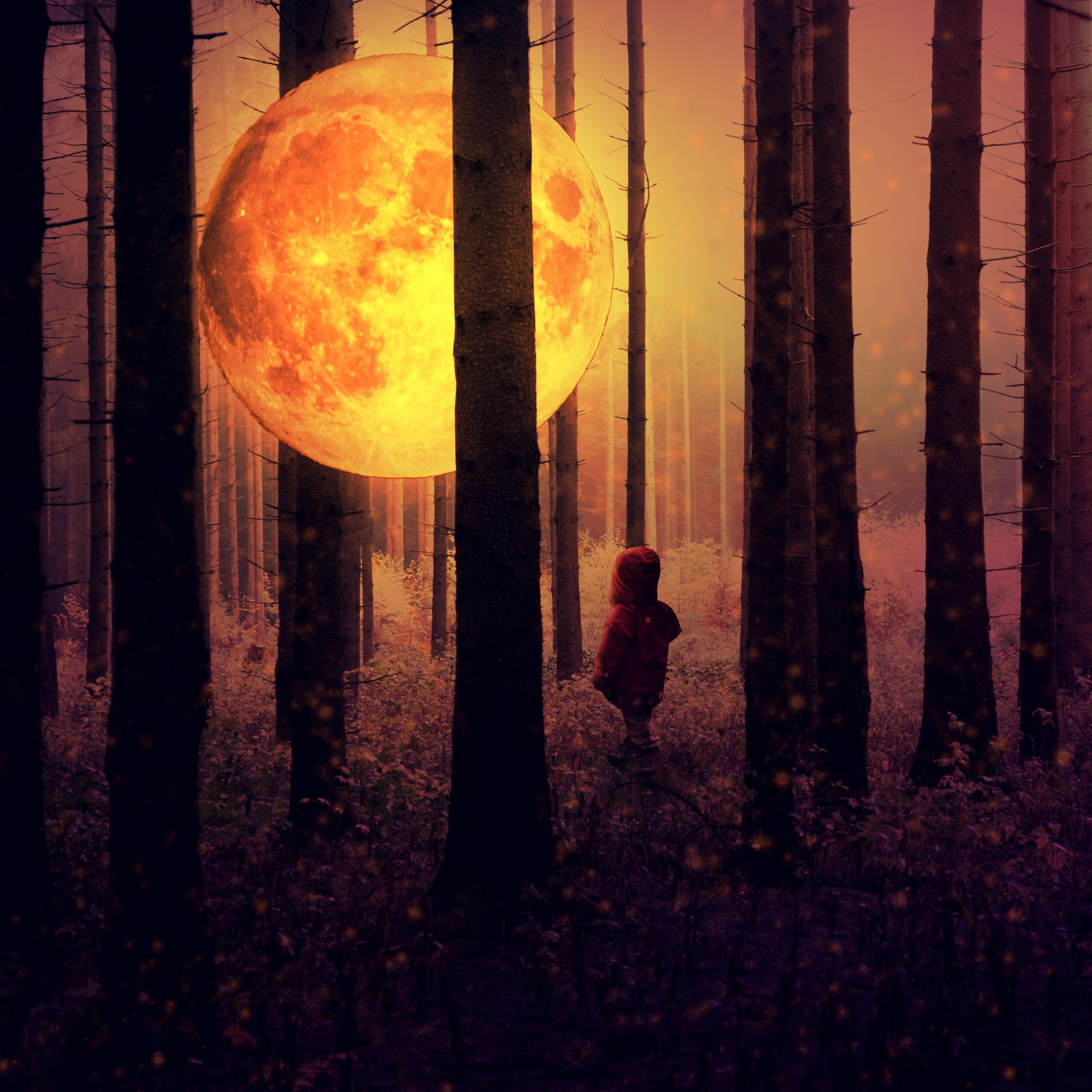 2732x2732 Full moon Wallpaper 4K, Kid, Forest, Woodland, Fantasy