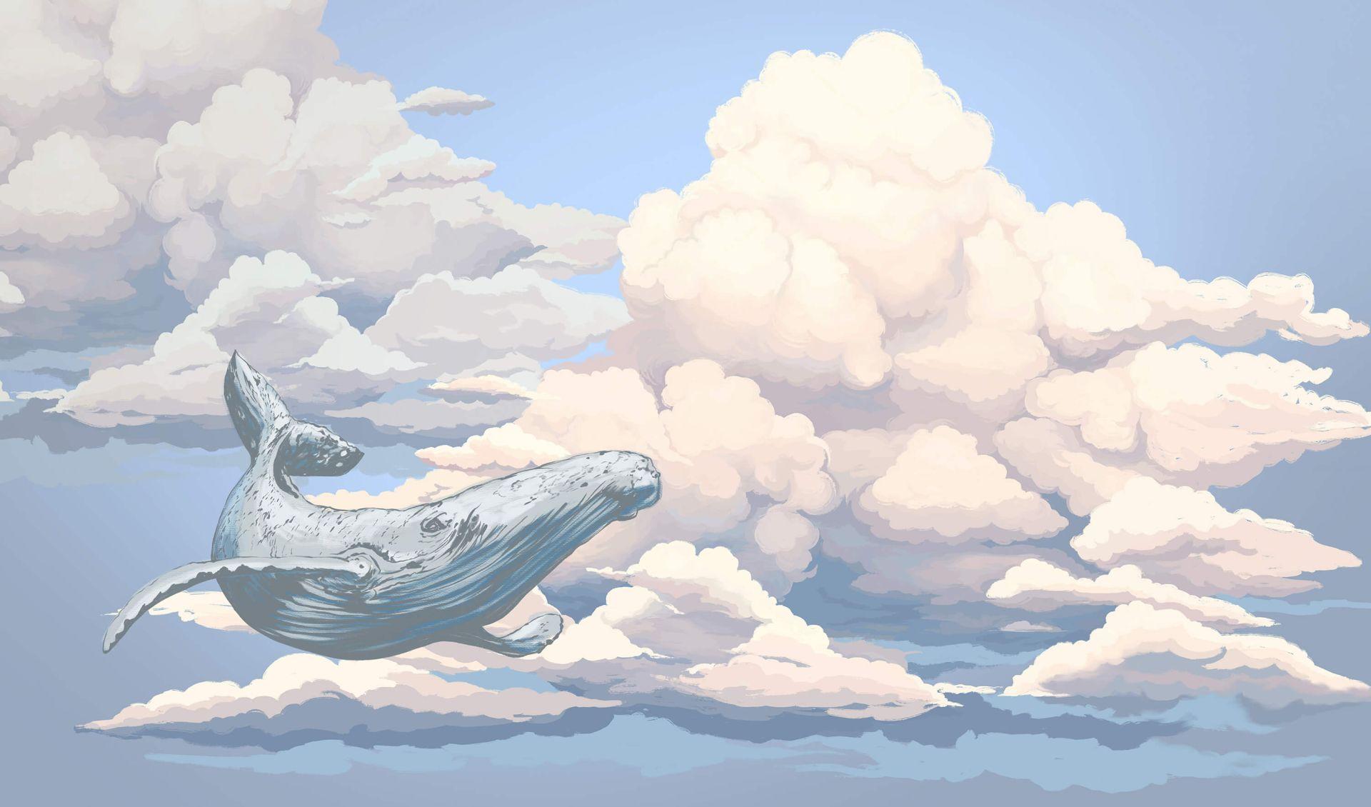 Flying Whales Wallpapers - Top Free Flying Whales Backgrounds