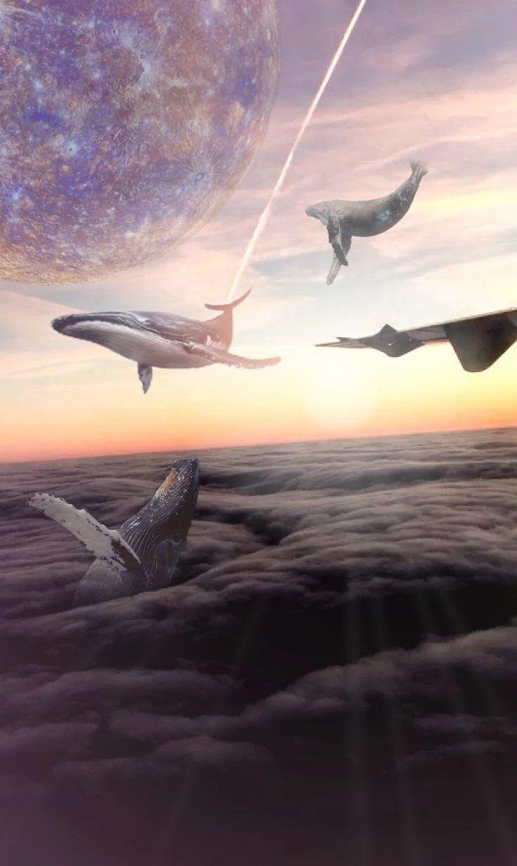 736x1231 sky whales surreal art. Whale art, Surreal art, Deep art