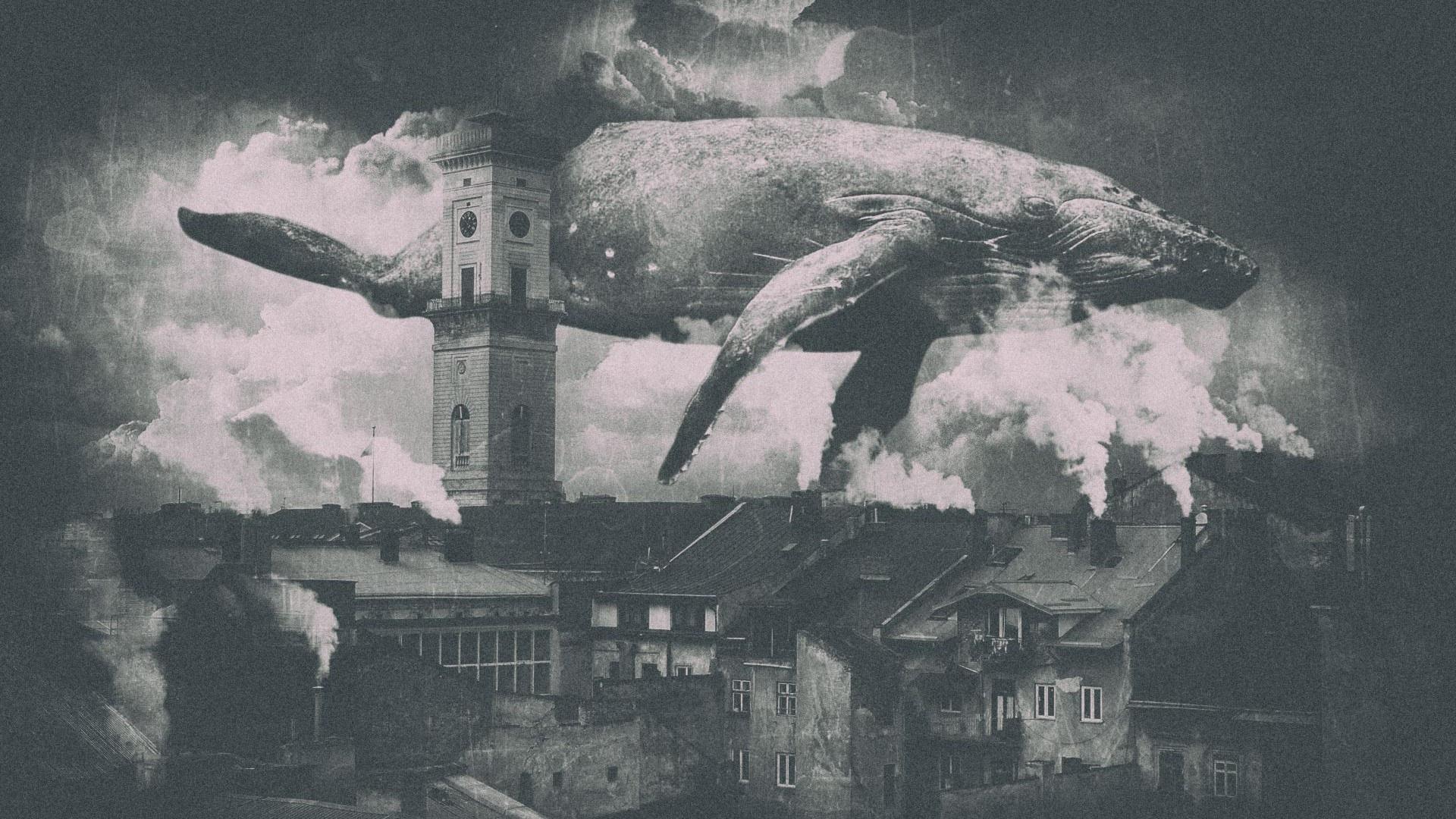 1920x1080 Download Sky whale, City, Whale, Photohop, Fog, Clouds Wallpaper in 1920x1080 Resolution