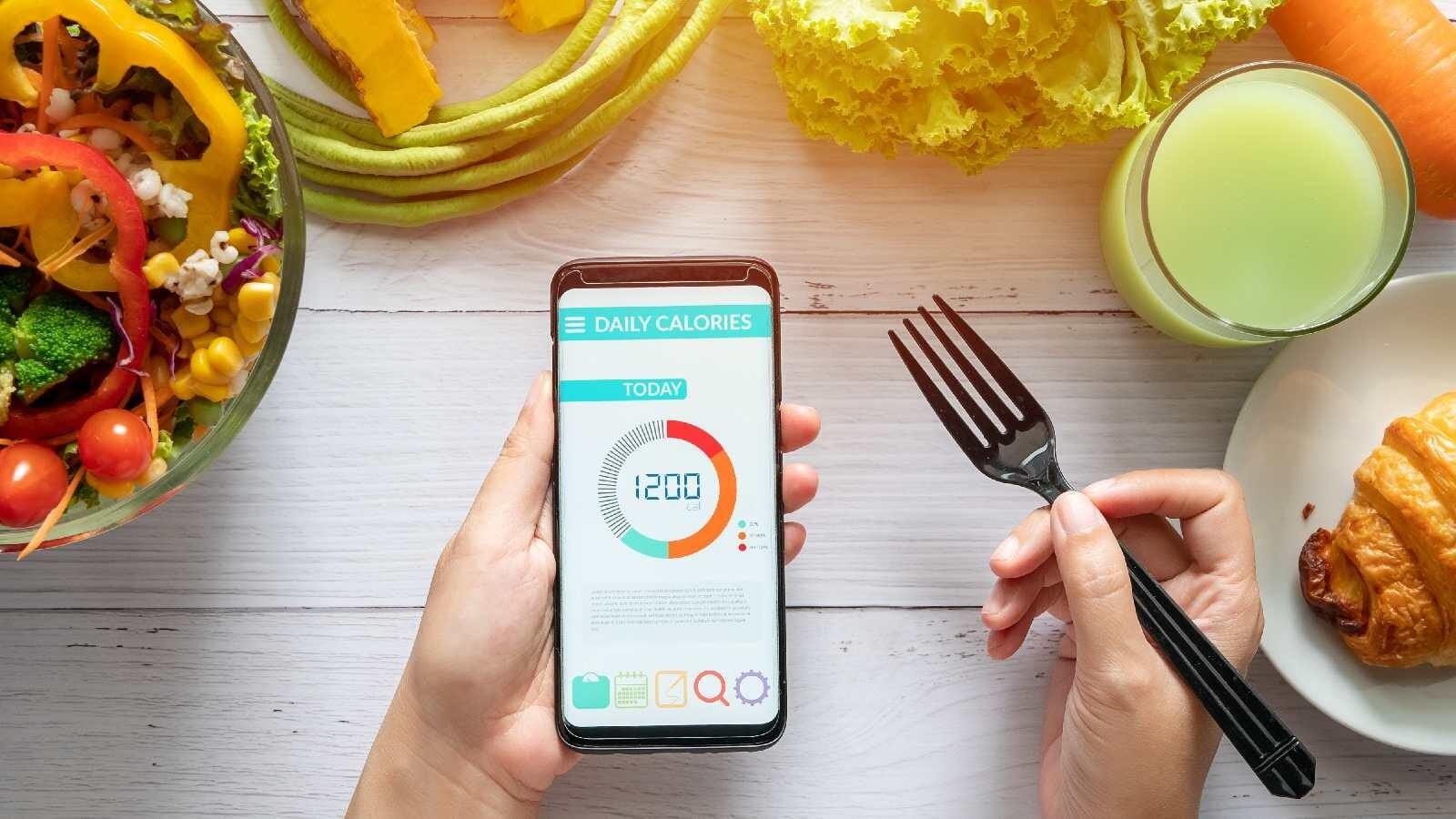 How To Count Your Calories Intake