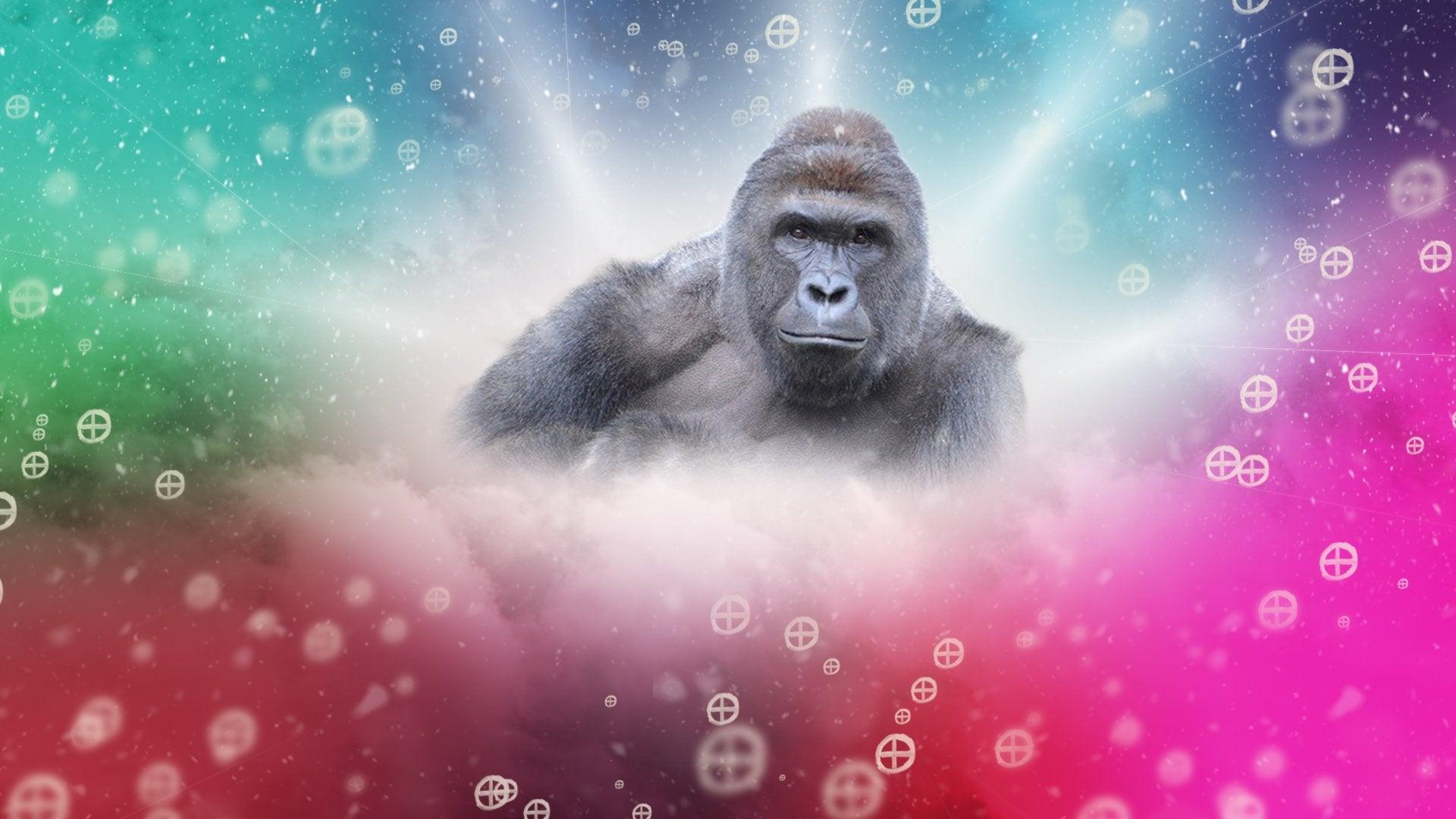 Top 141+ harambe wallpaper best - 3tdesign.edu.vn