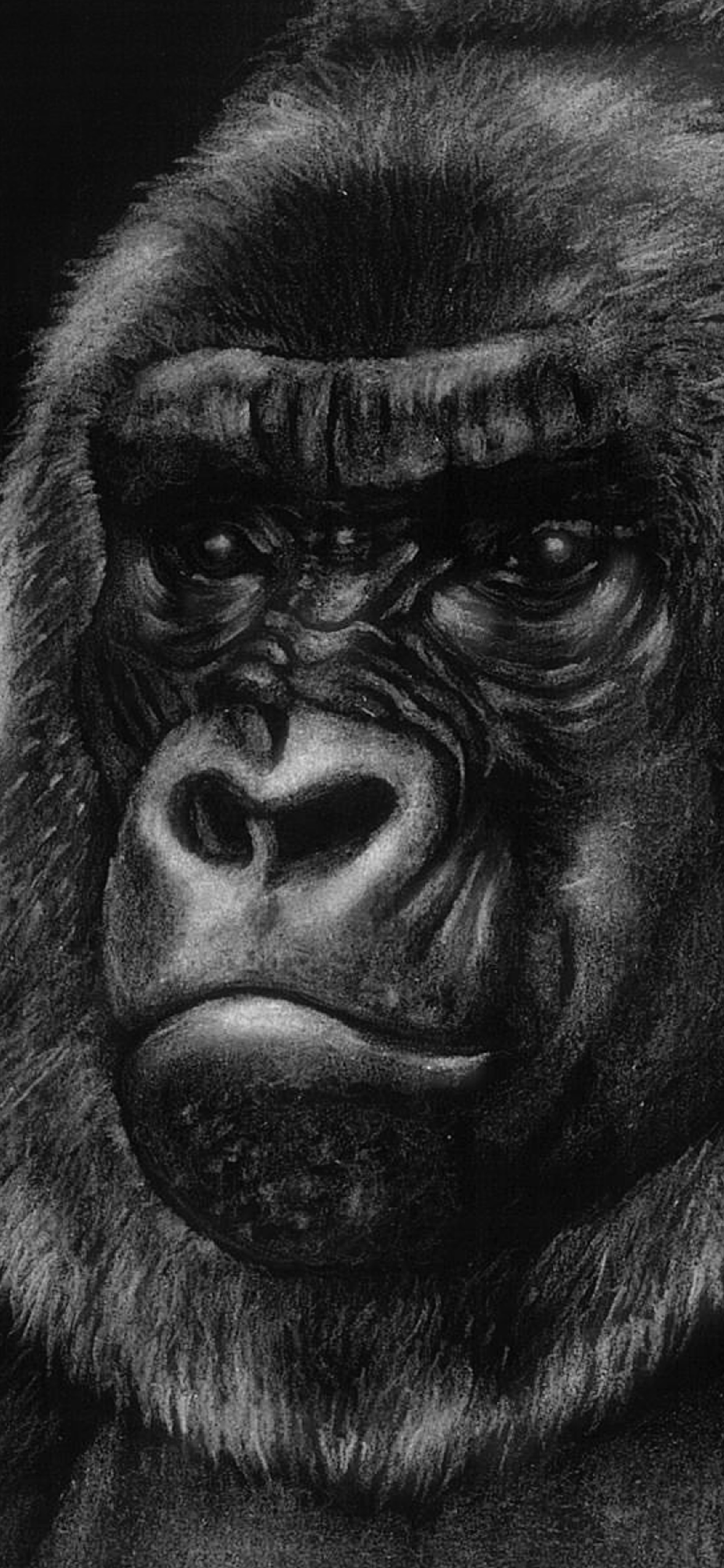 1242x2688 Illustration Wallpaper for iPhone Pro Max, X, 6