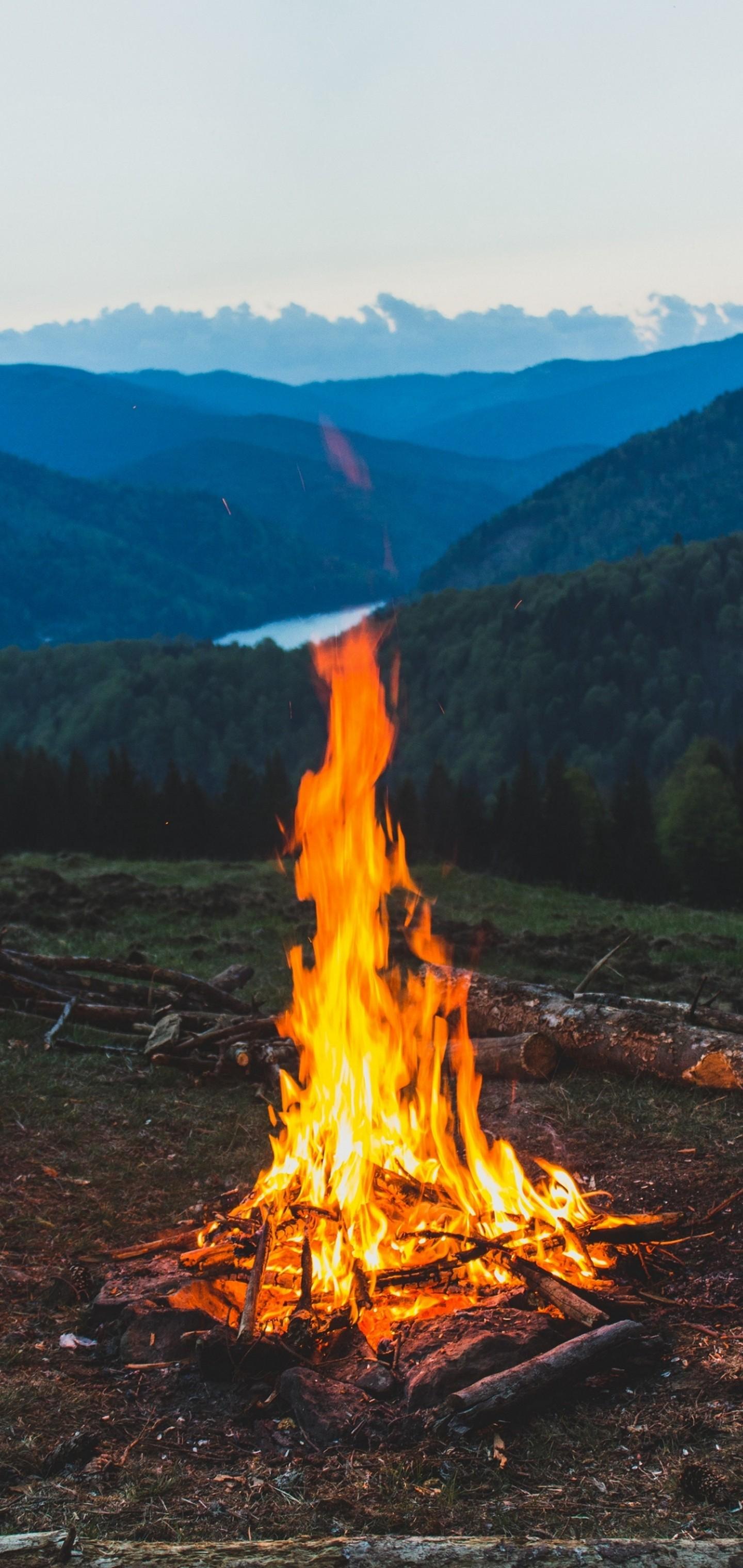 1440x3040 FireWood Campfire Mountain Wallpaper - [1440x3040]