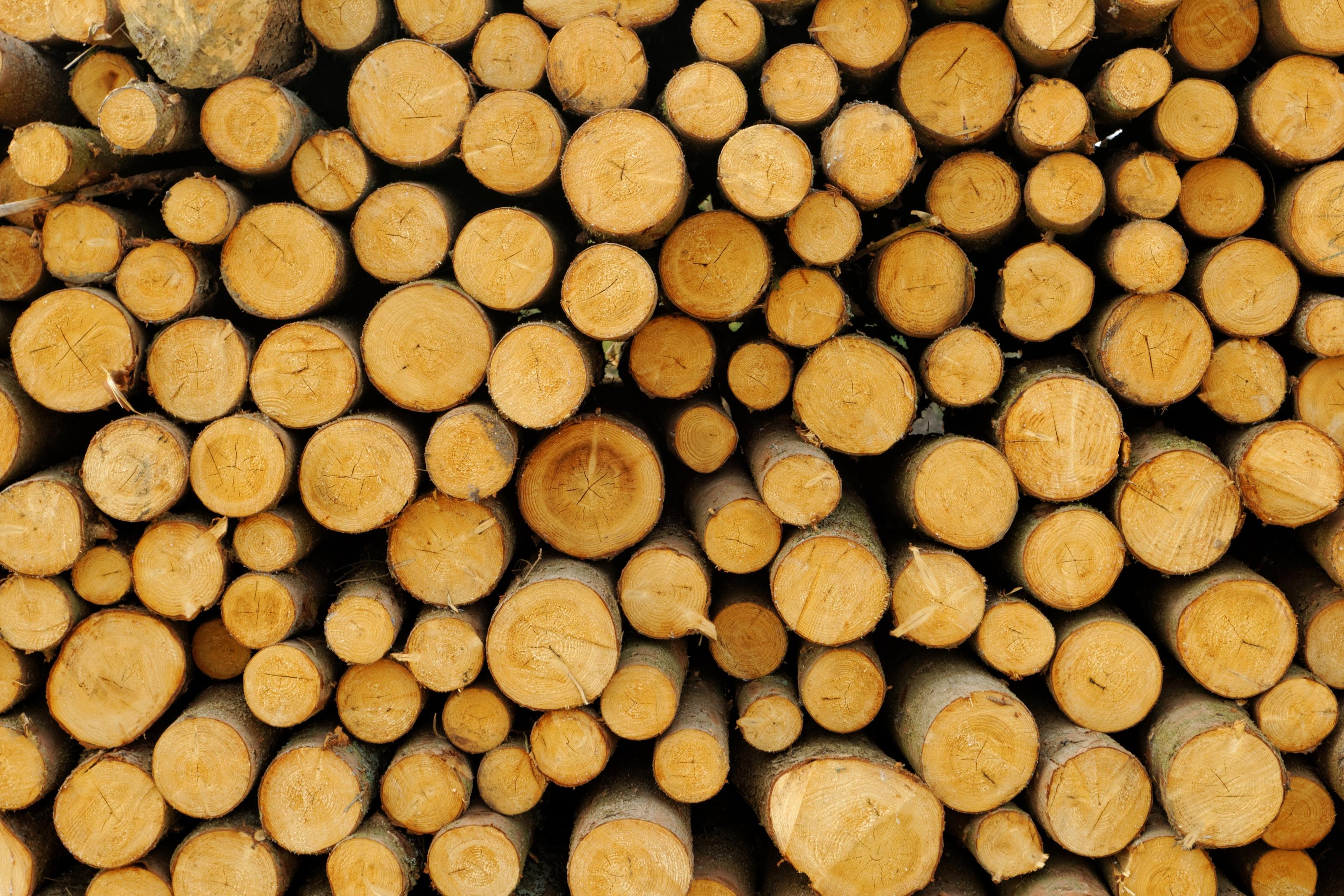 Firewood Wallpapers - Top Free Firewood Backgrounds - WallpaperAccess