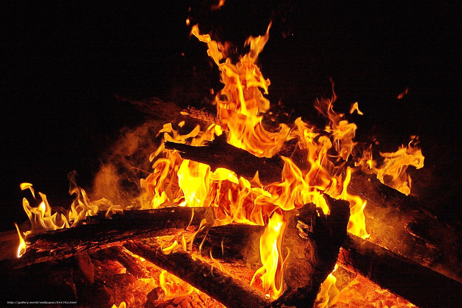 1600x1067 Free download Download wallpaper night BONFIRE fire firewood free [1600x1067] for your Desktop, Mobile & Tablet. Explore Bonfire Wallpaper. Dark Souls Bonfire Wallpaper