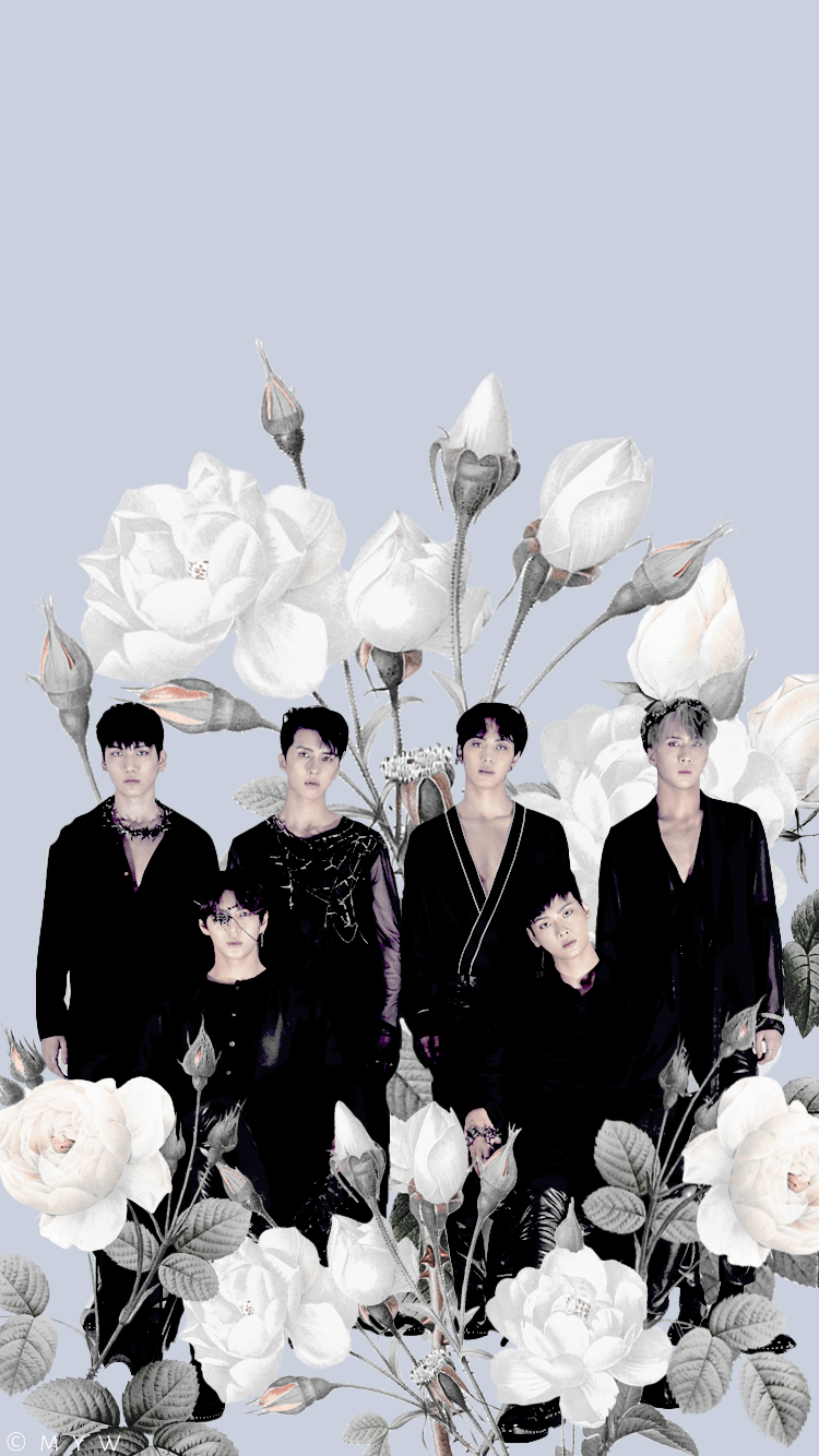 750x1334 VIXX wallpaper