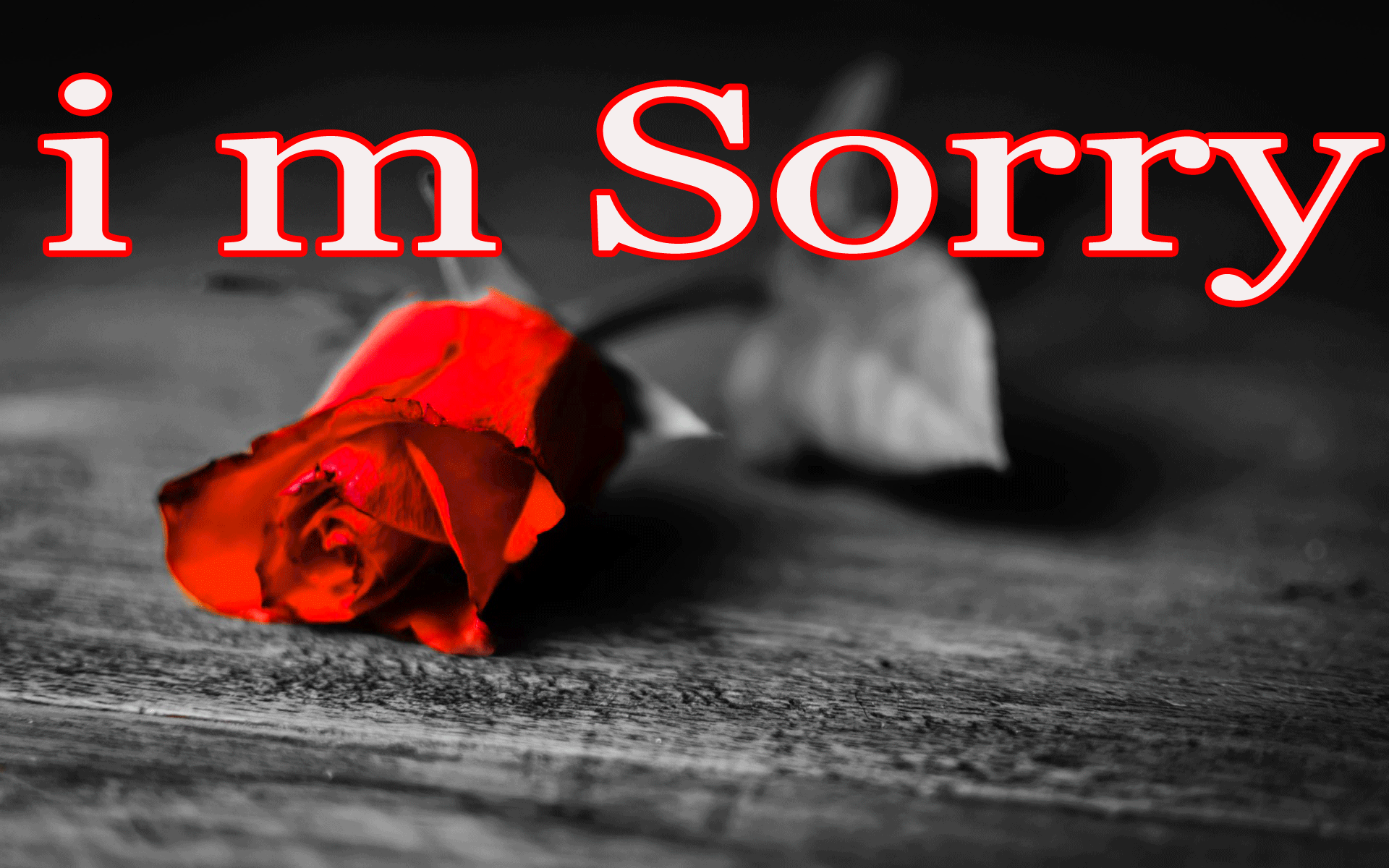 1920x1200 Free download I Am Sorry Image Wallpaper Photo Pics Download Red Rose Dark [1920x1200] for your Desktop, Mobile & Tablet. Explore Sorry Background. Wallpaper Sorry, Wallpaper Of Sorry, Sorry Wallpaper