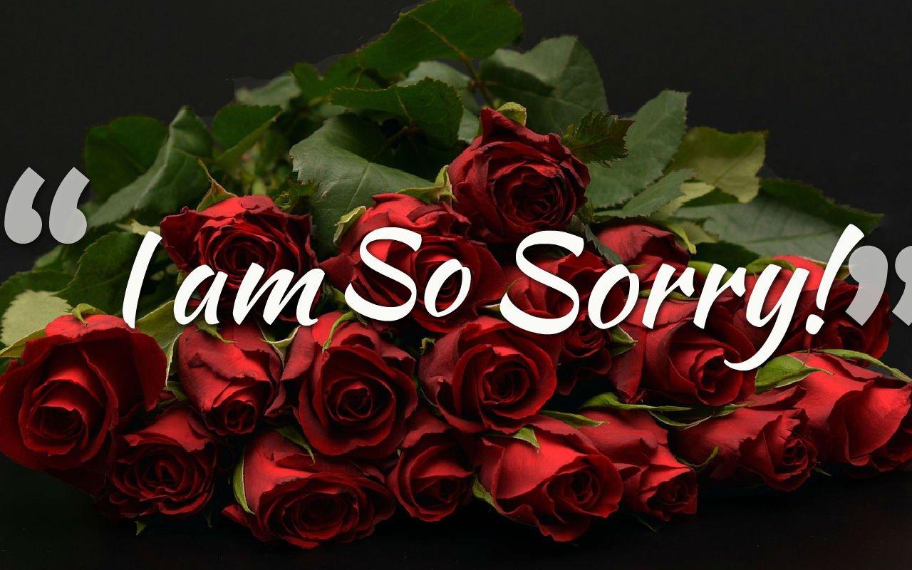 1280x800 How to say SORRY in Chinese. Ways to Appologize in Mandarin