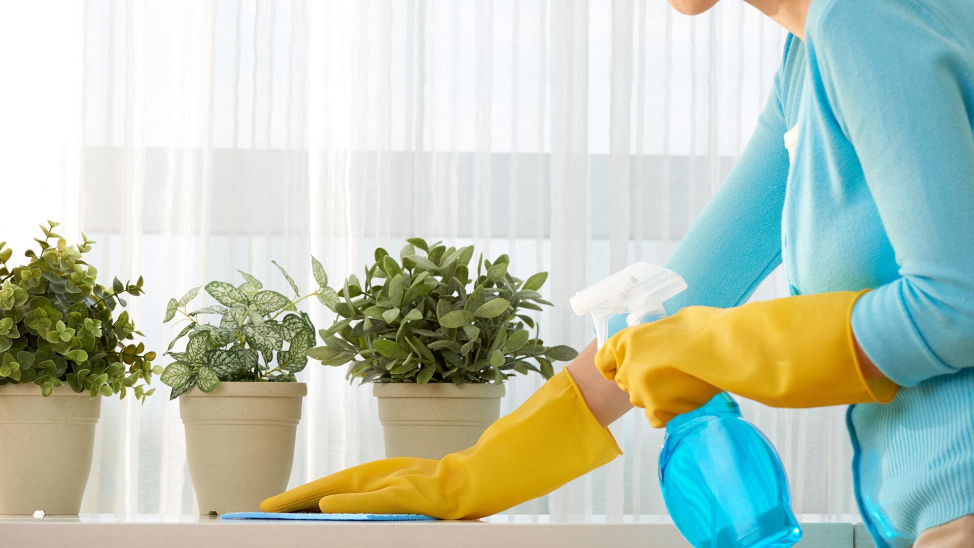 1920x1080 Cleaning Services Casa Grande, AZ. Free In Person Estimates!