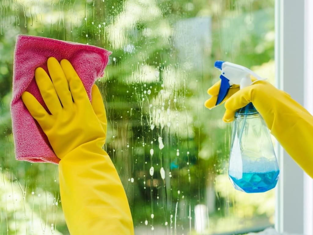 1024x768 Is Windex Toxic?