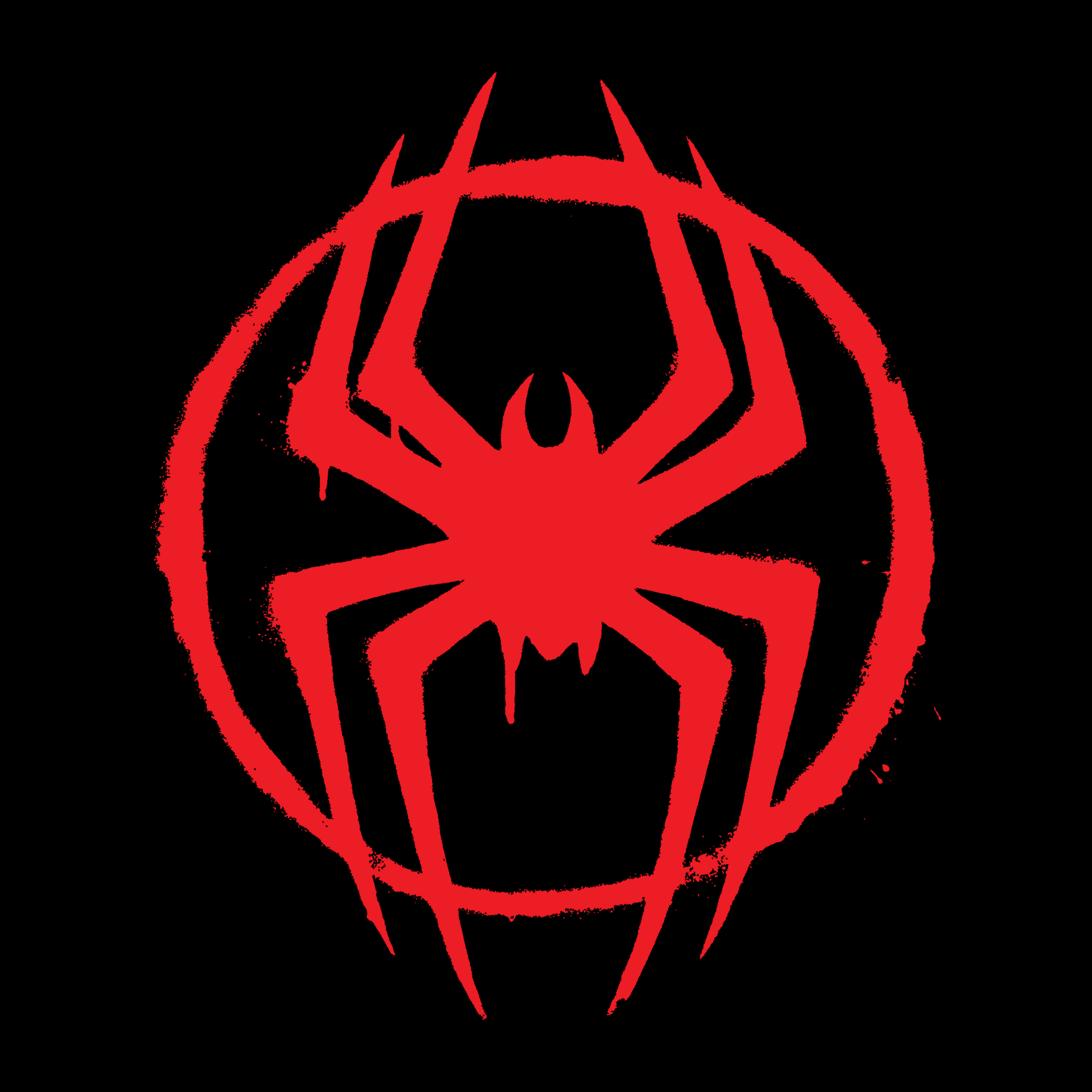 2560x2560 Spider Man: Across The Spider Verse Wallpaper 4K, Logo, 5K, 8K, AMOLED