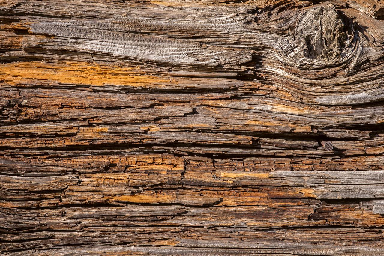 1280x854 MS 5 0159 Bark Wall Mural