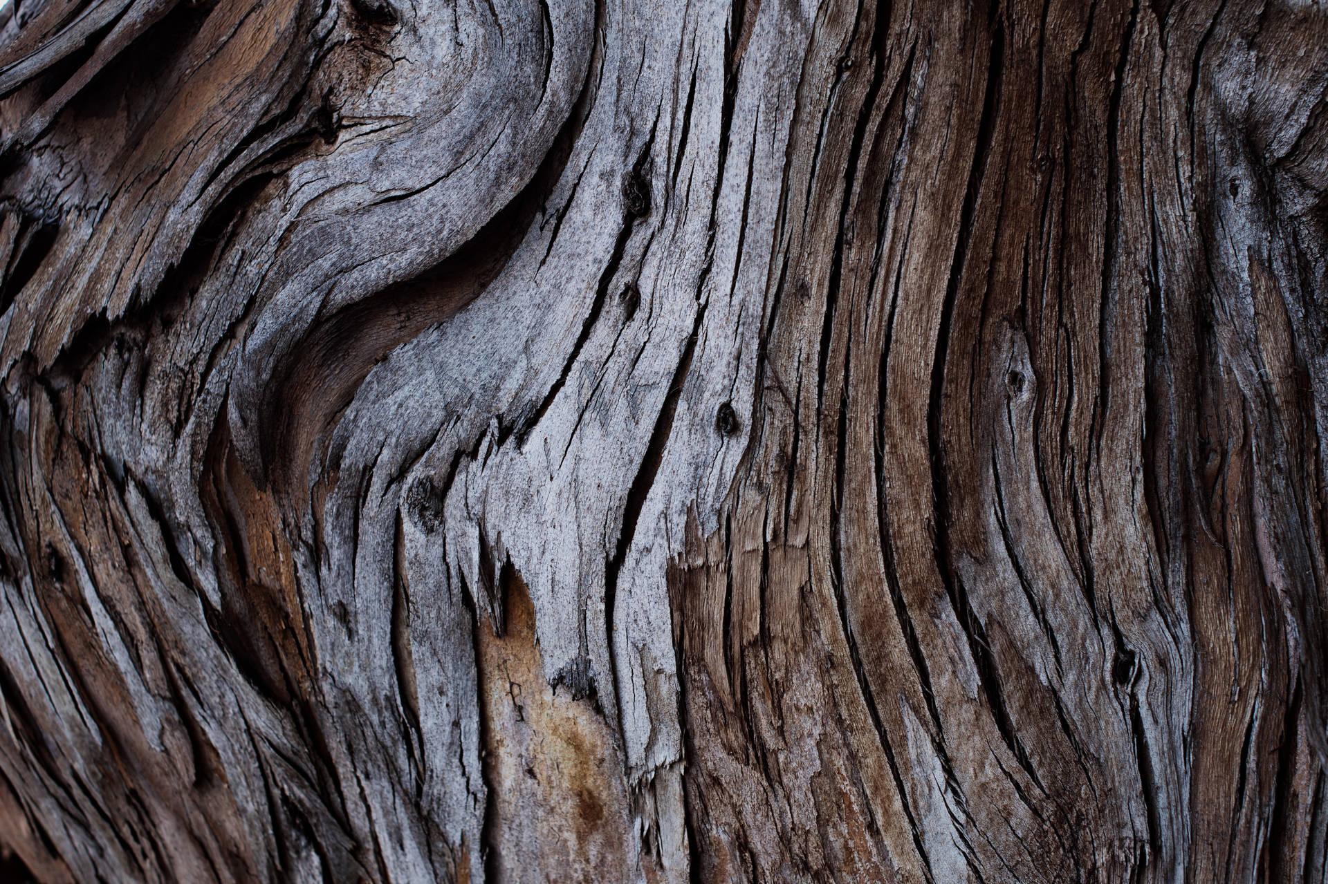1920x1279 Download Wood Bark Wallpaper