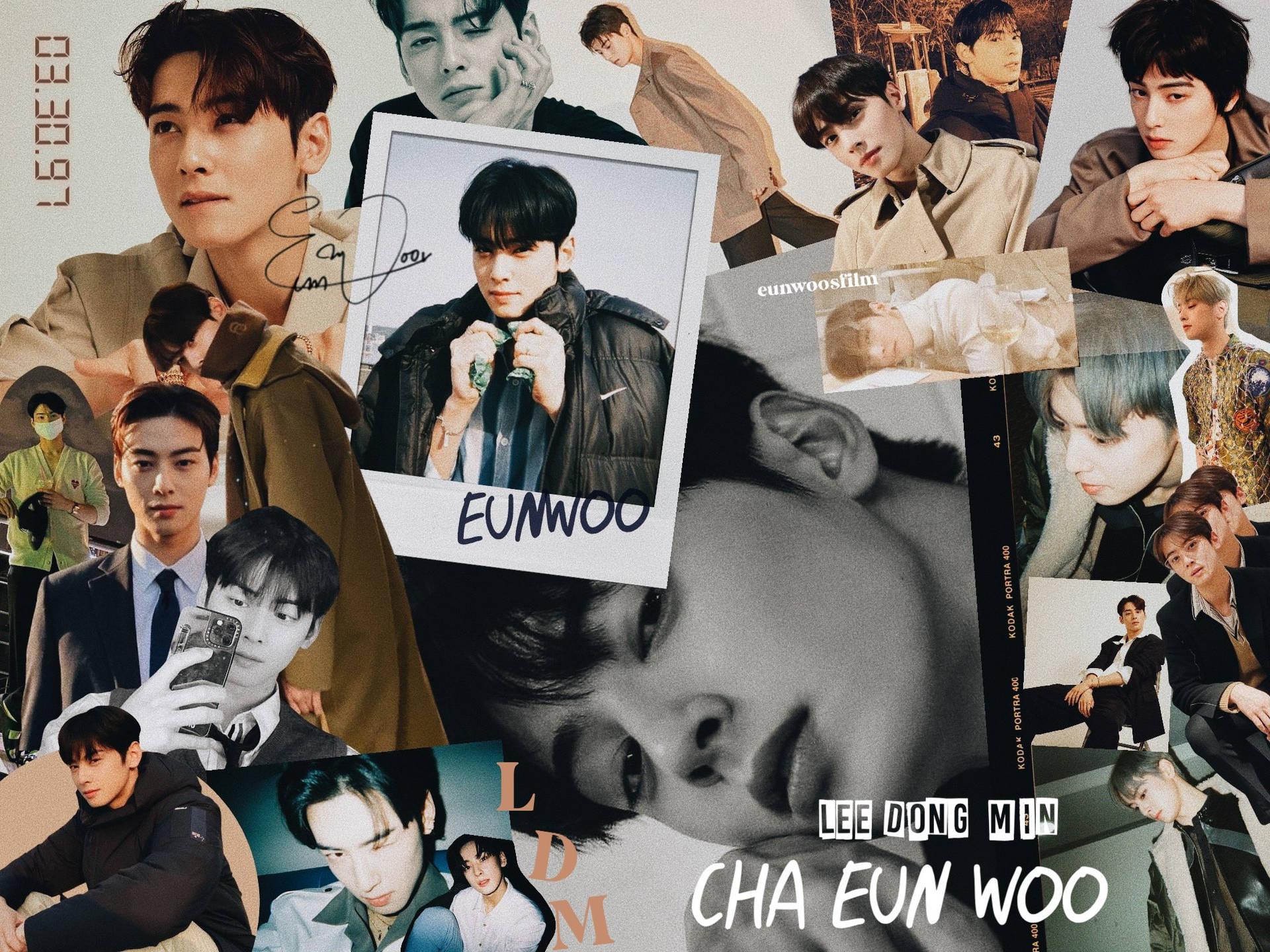 Download Cha Eun Woo True Beauty Wallpaper