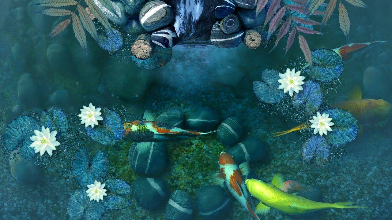 Wallpaper Tumblr Gif Water Stones And Koi Fish 3d Image Num 76