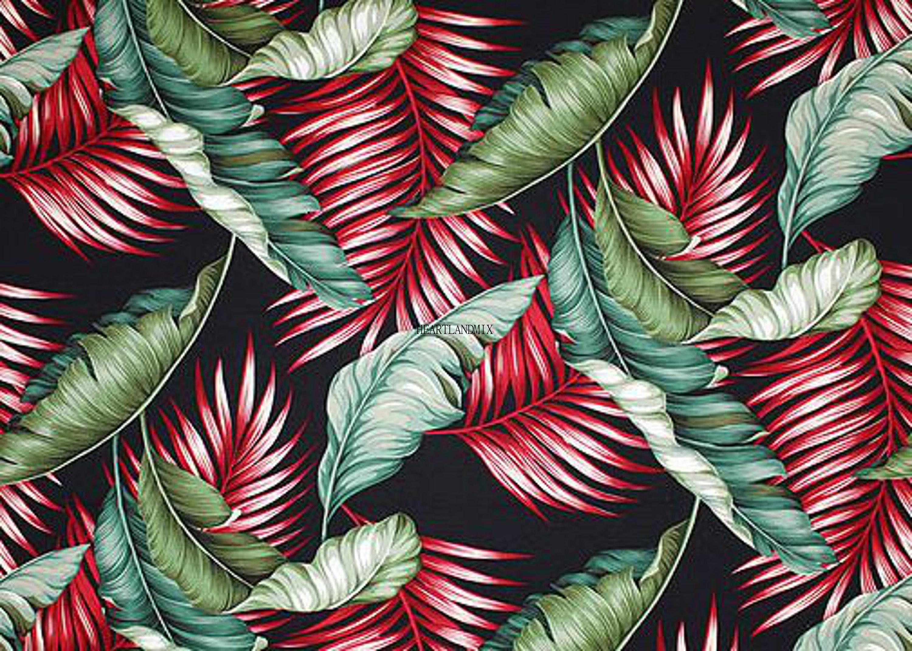 3000x2143 Tropical Wallpaper