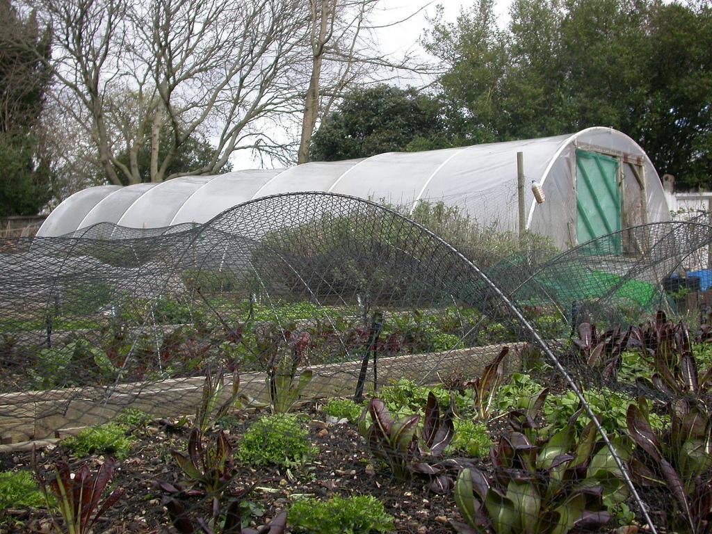 1024x768 Urban horticulture