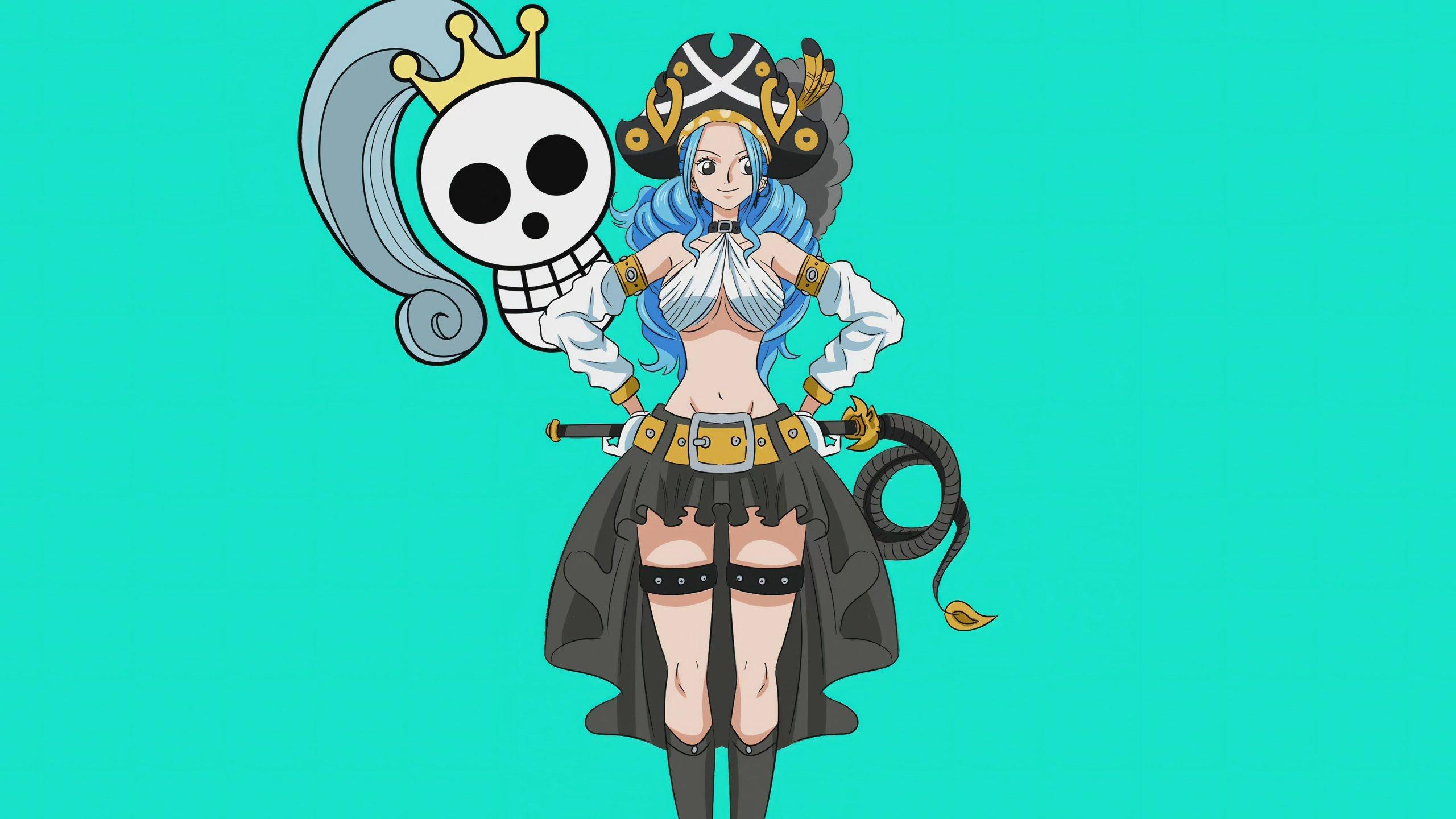 2560x1440 Vivi One Piece Red Anime Wallpaper 4k Ultra HD